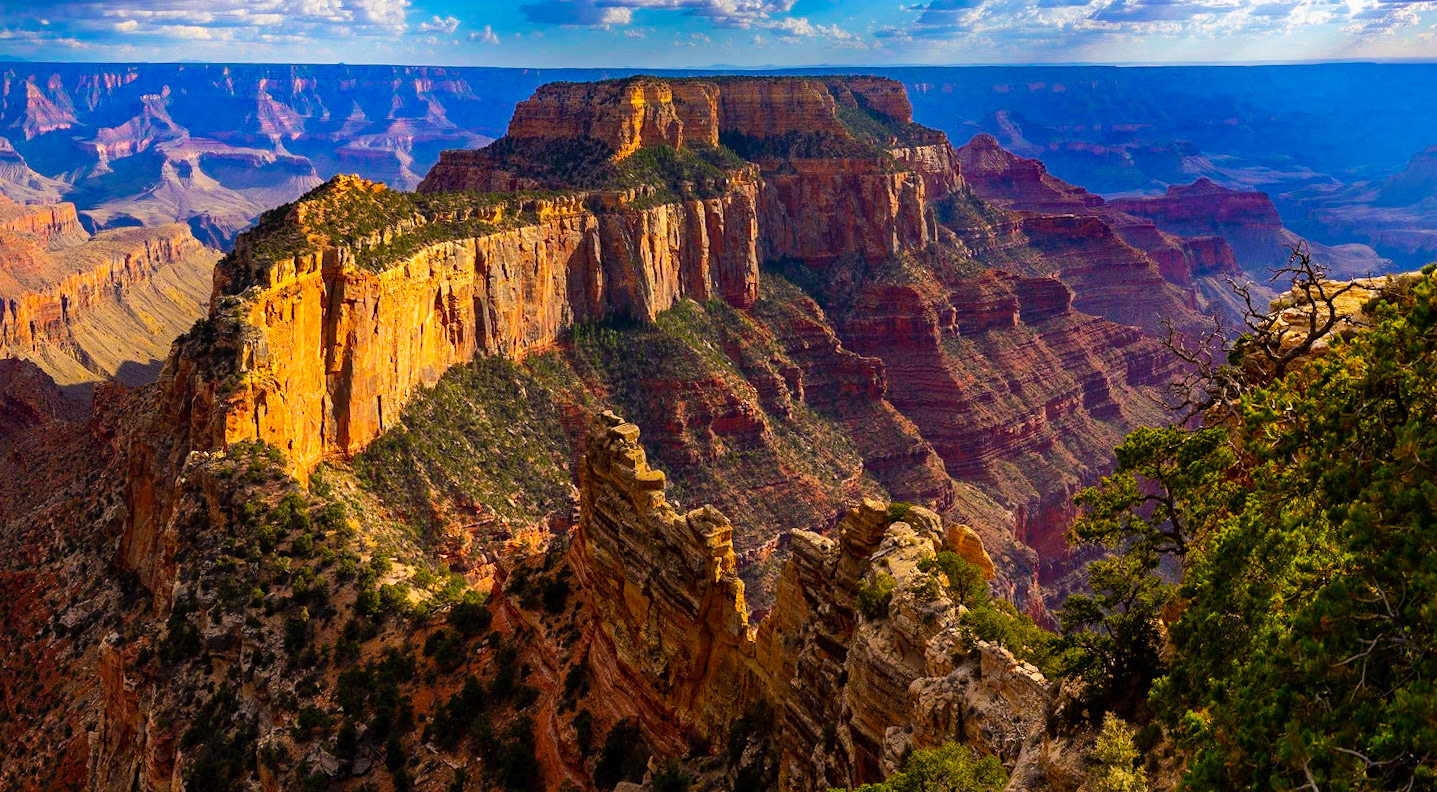 Grand Canyon View