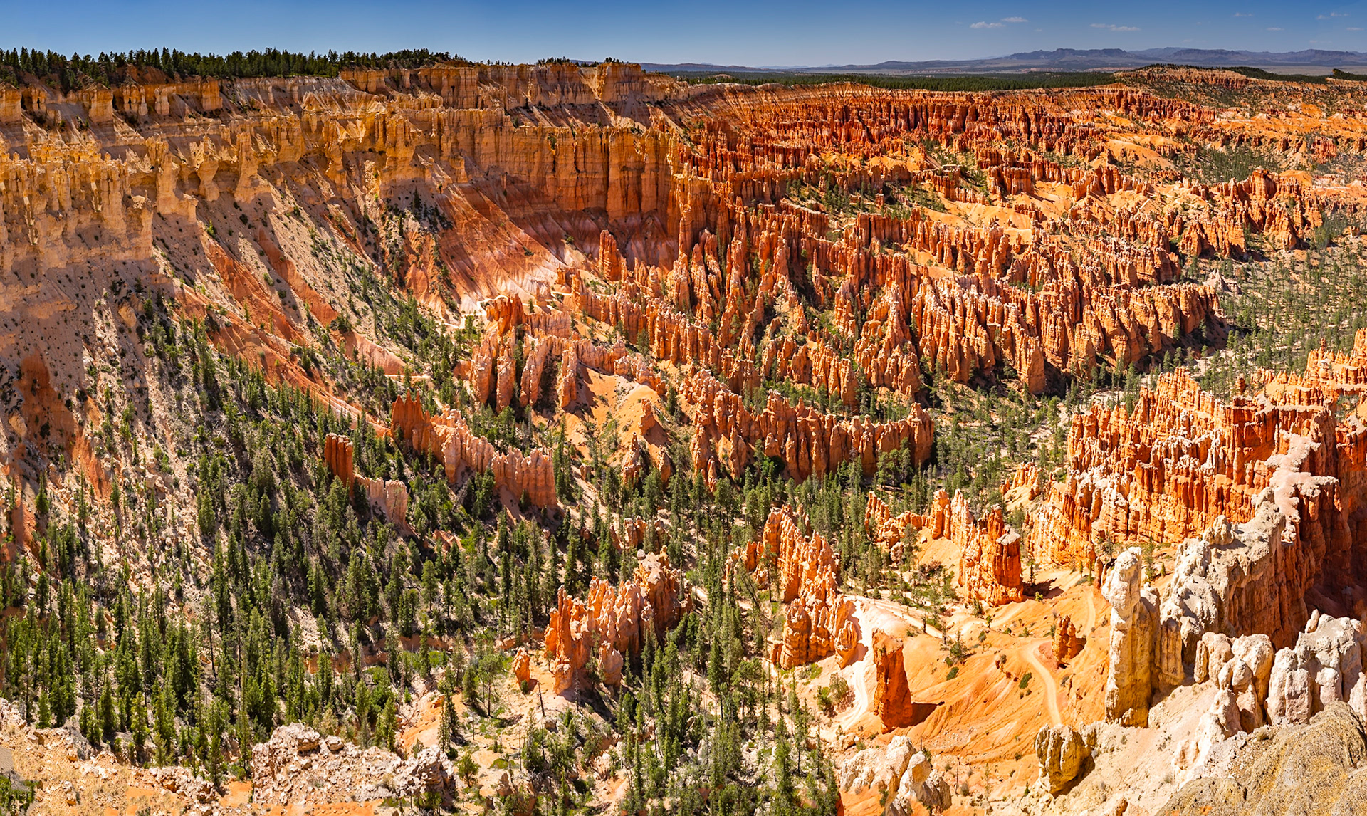Bryce Canyon View