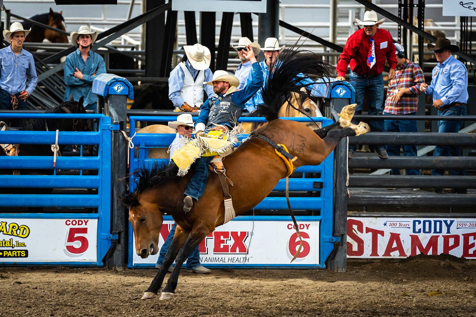 Cody Stampede Rodeo