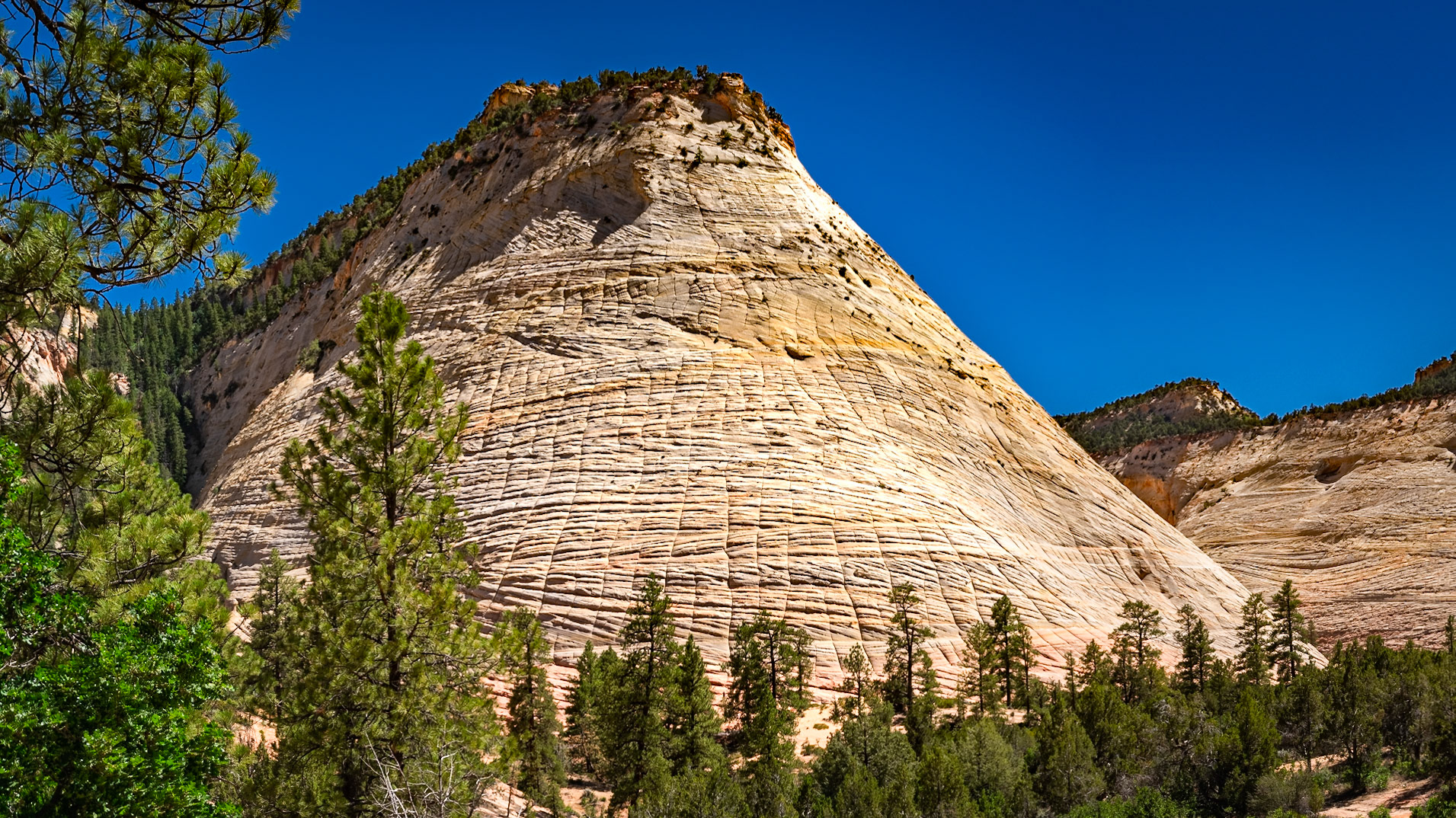 Checkerboard Mesa