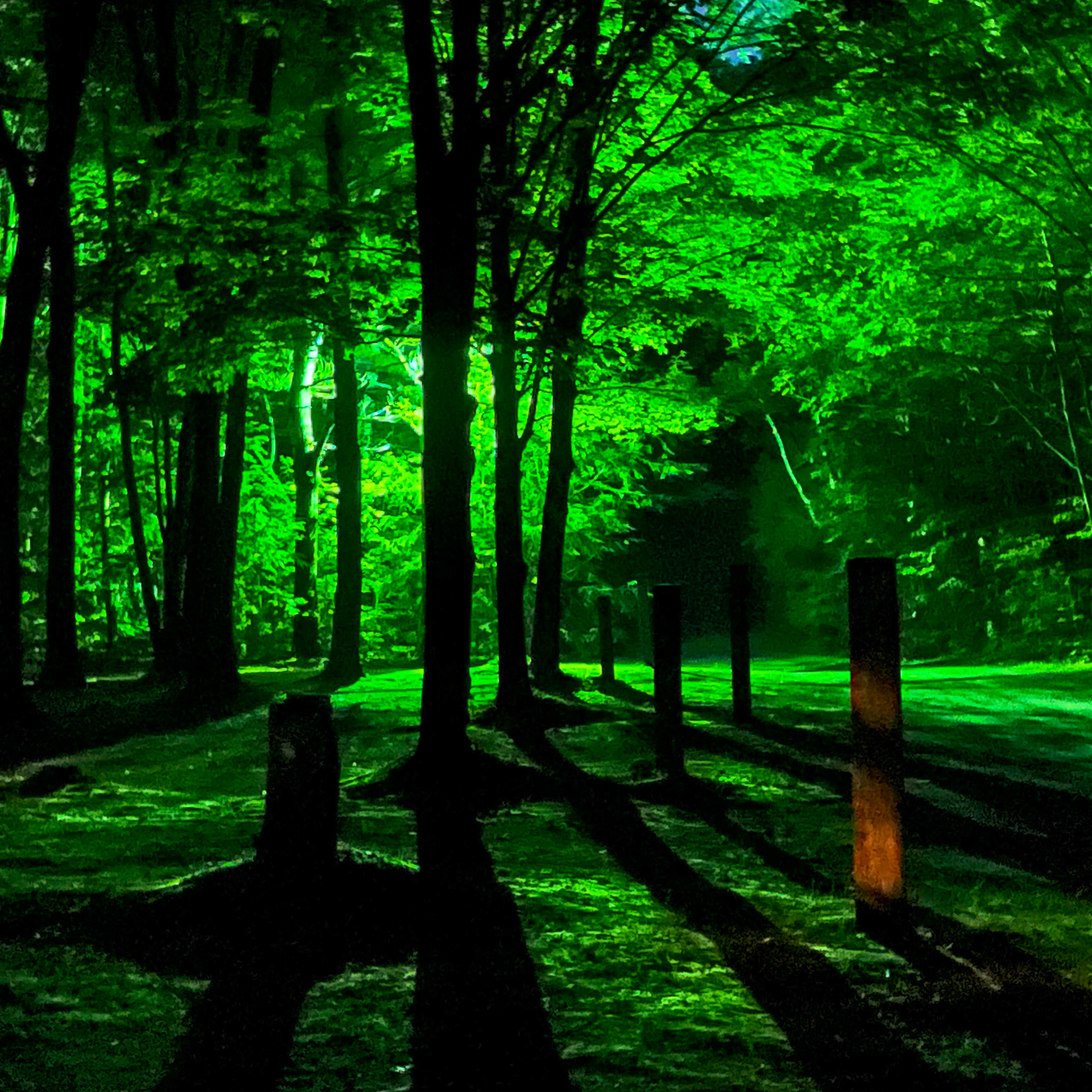 Night shot taken while walking the dogs at Timberland Campground, Shelburne, NH.