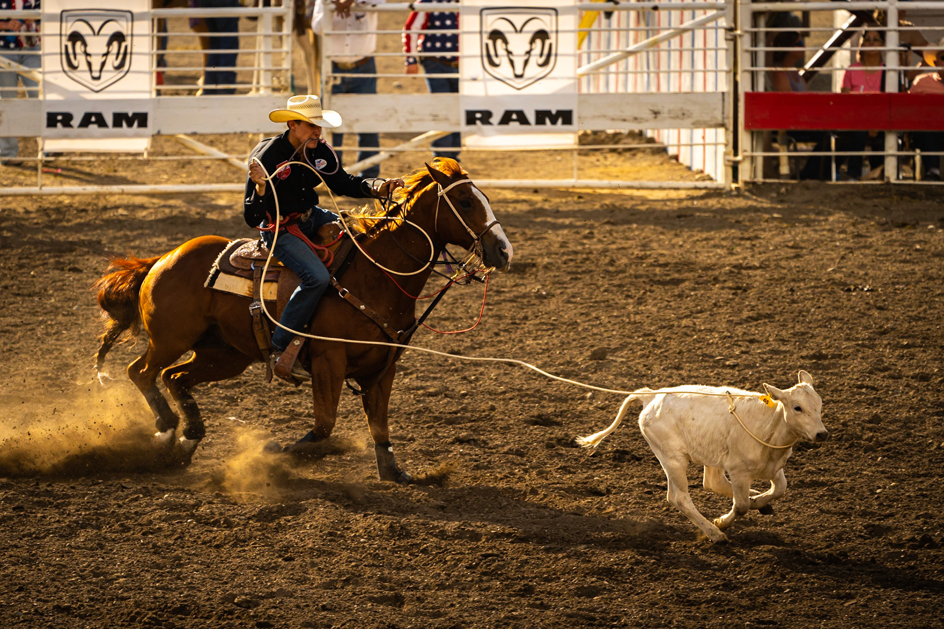 Cody Stampede Rodeo