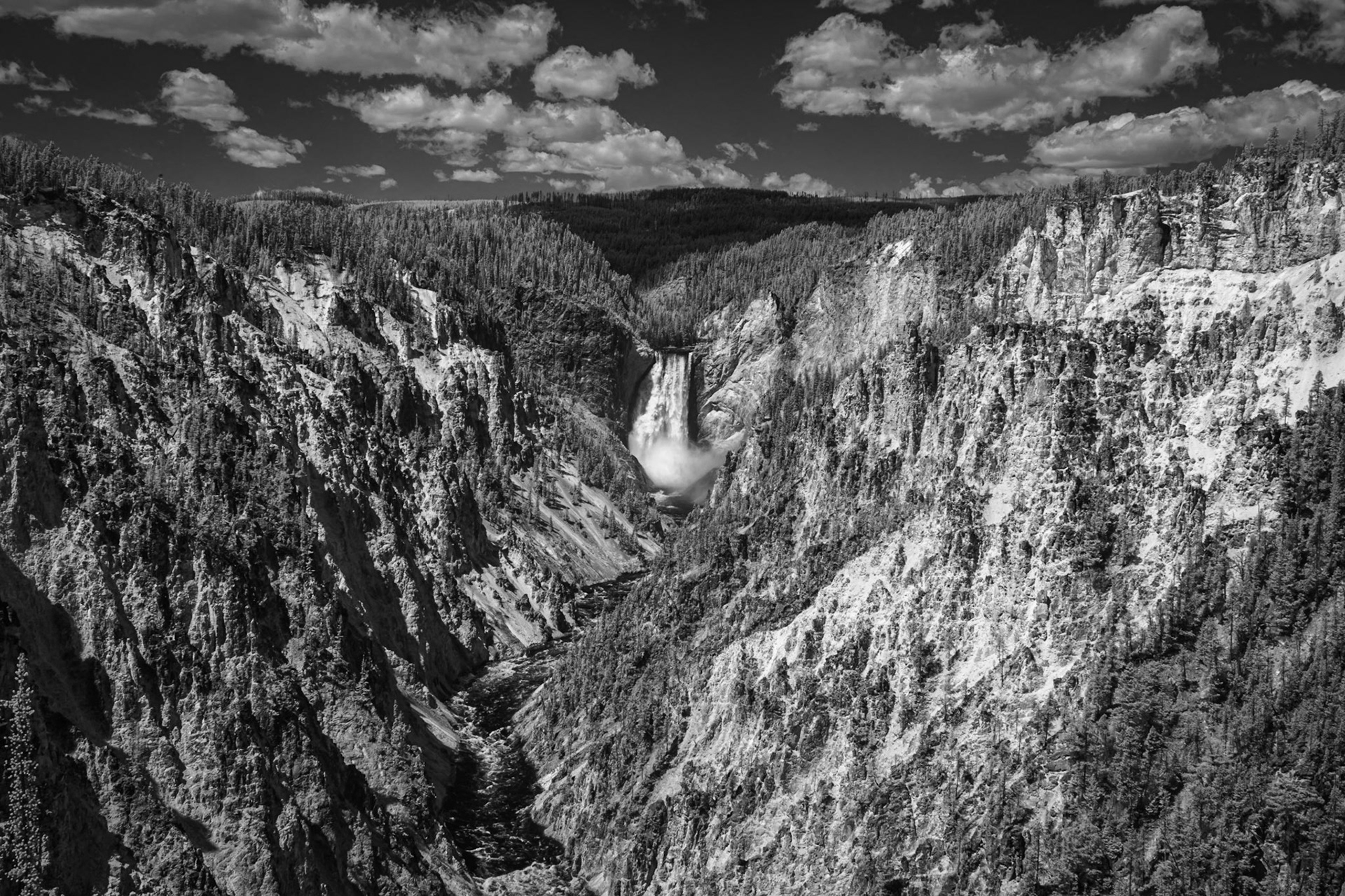 Yellowstone Canyon Lower Falls