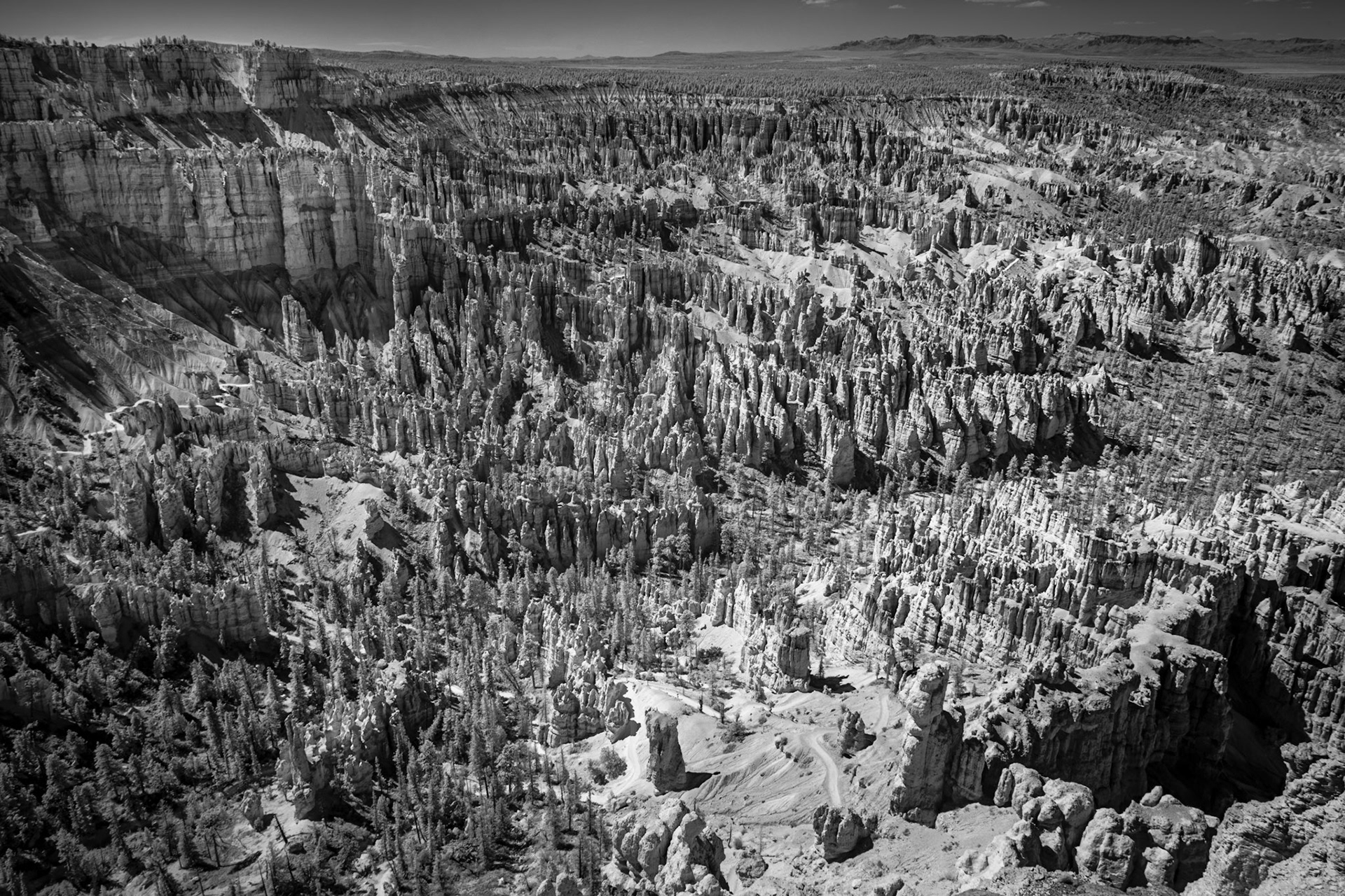 Bryce Canyon View