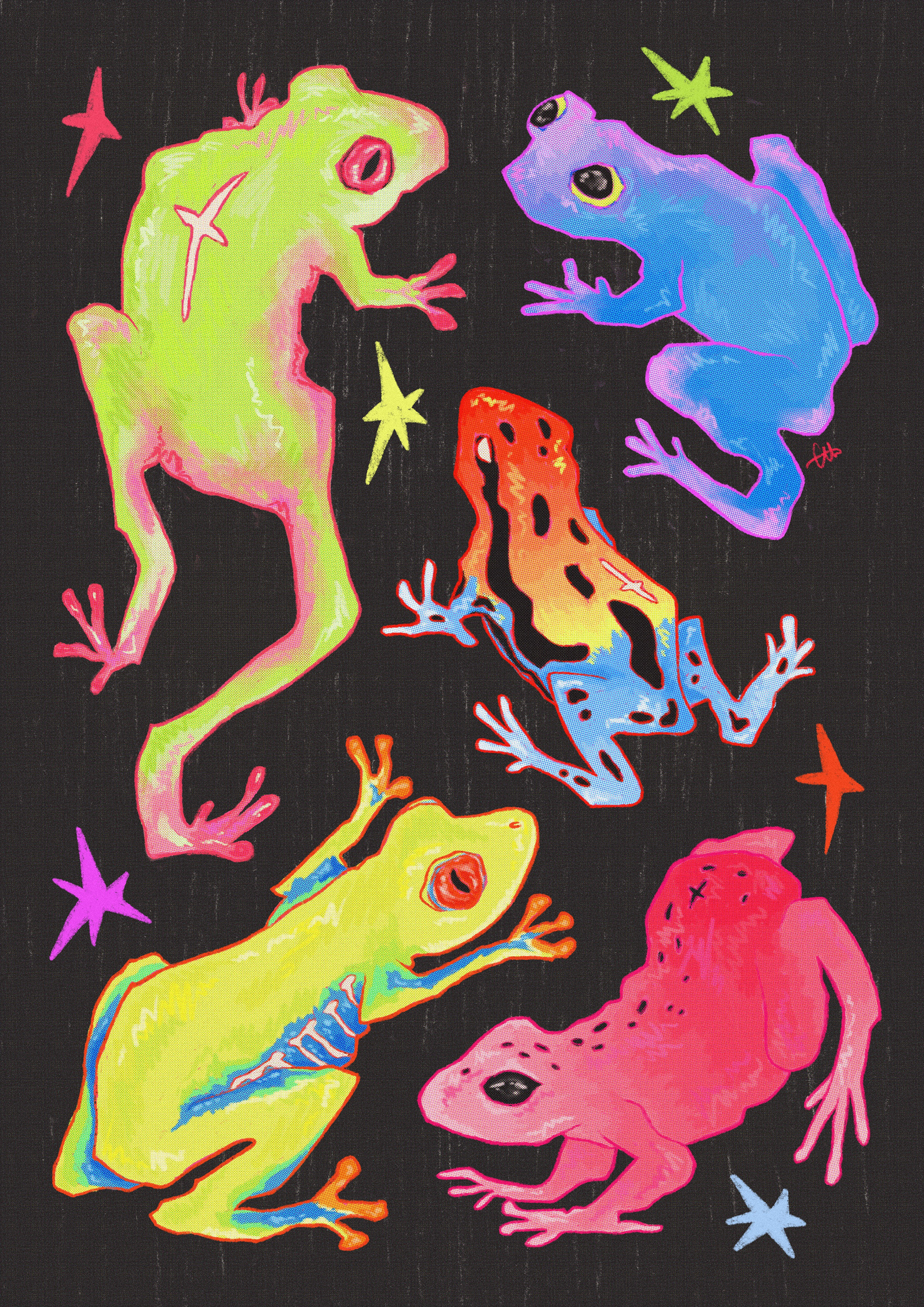 Colorful Frogs