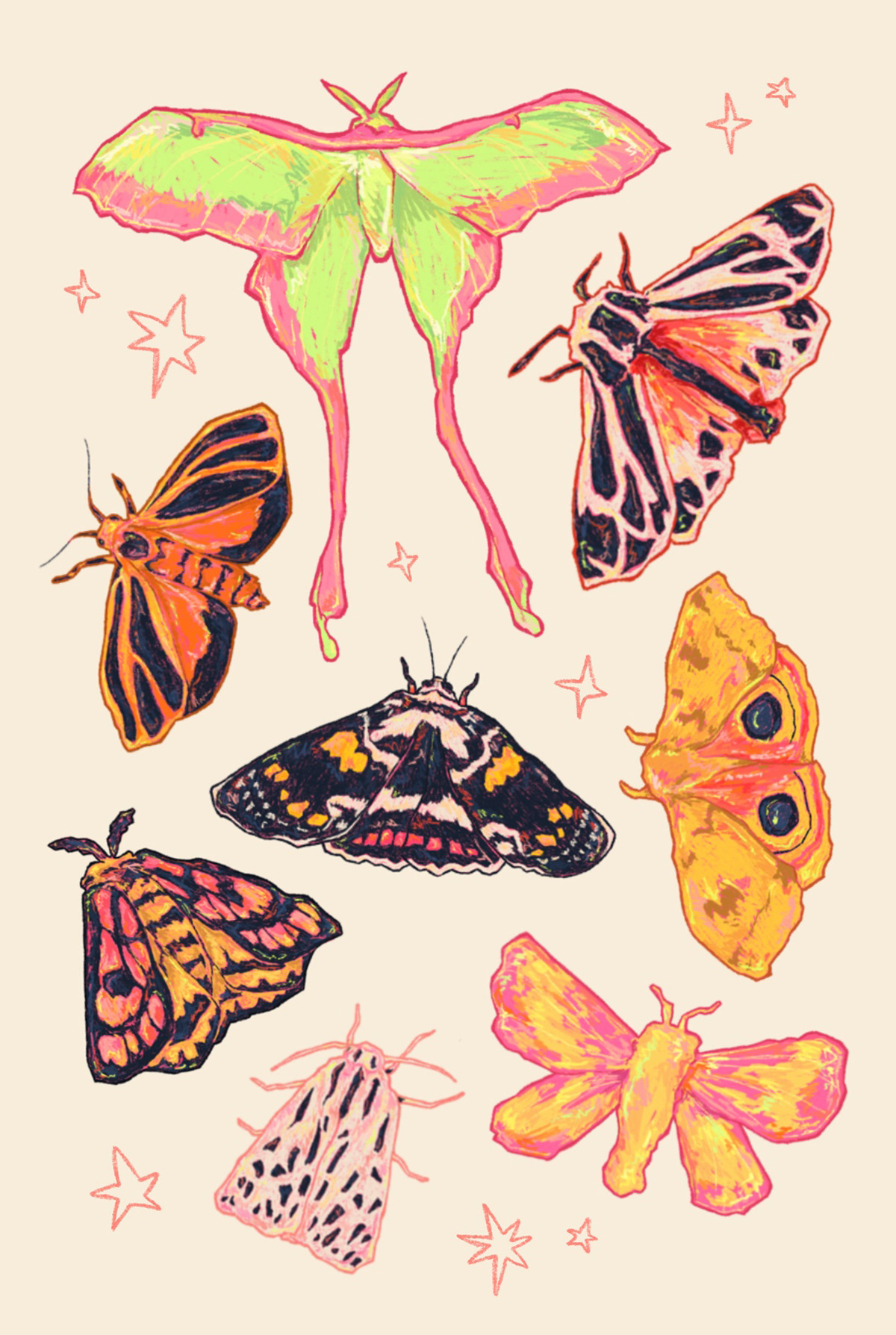 Moths