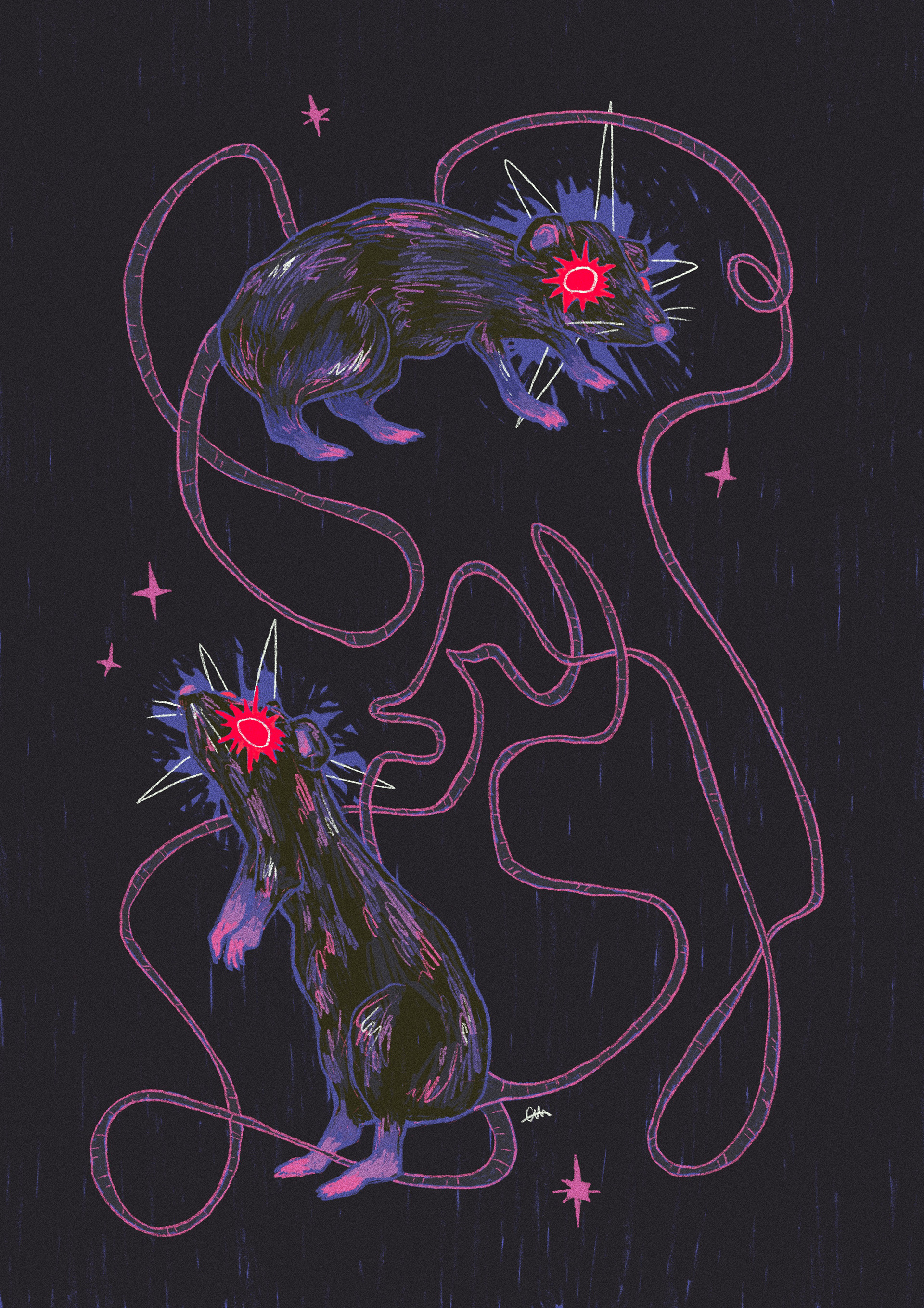 Tangled Rats