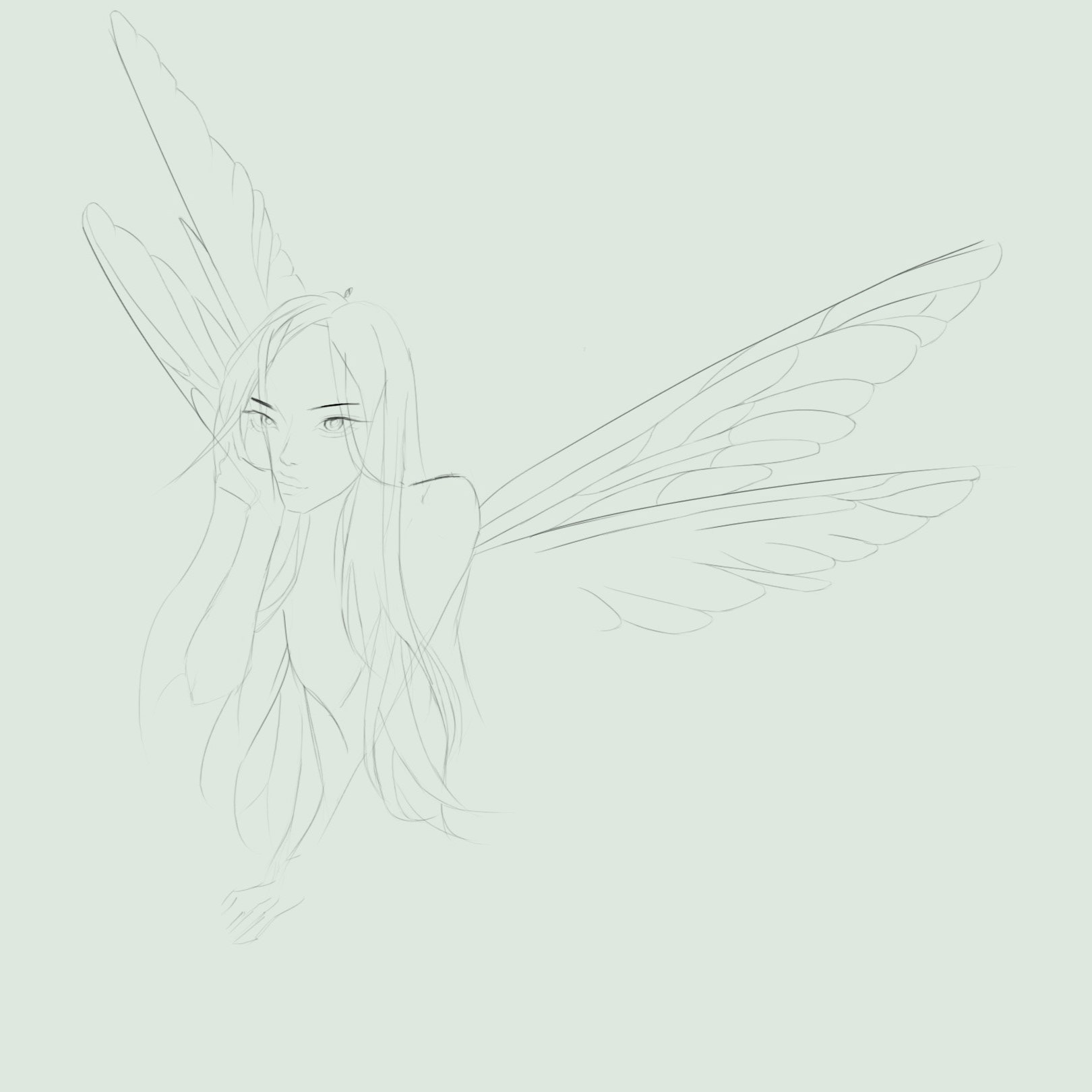 Wings Sketch