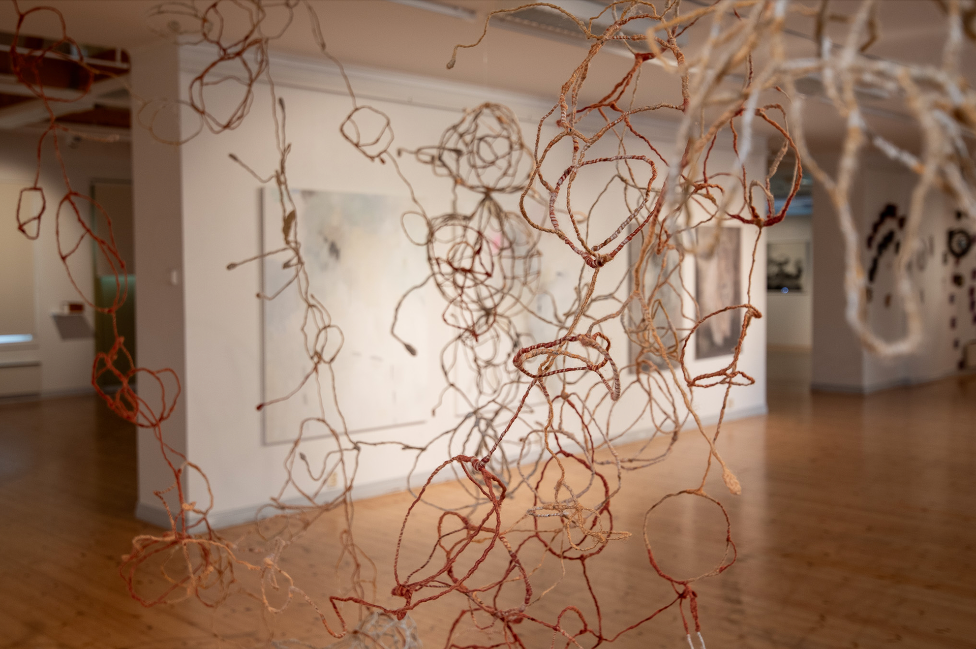 Tuntematon muuttuja 2025