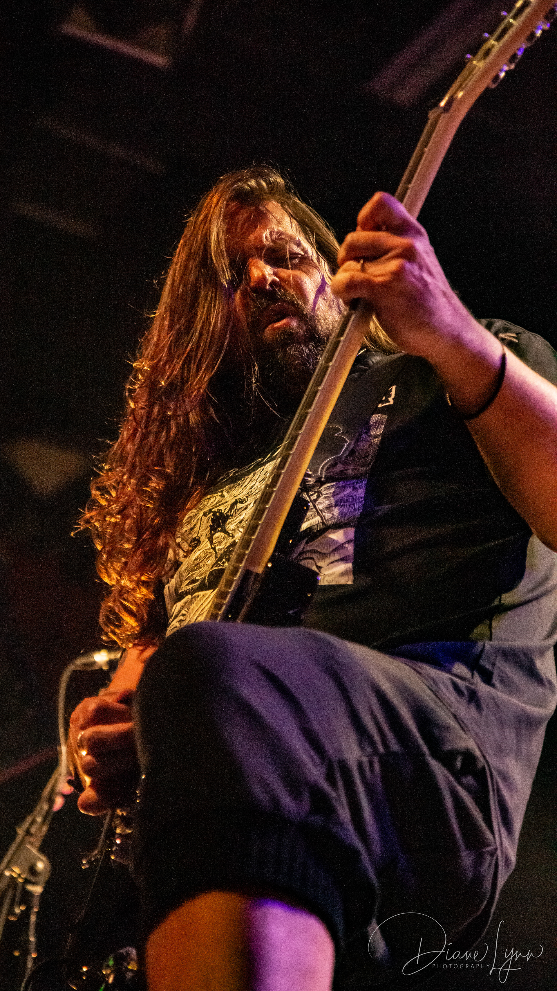 Metal Allegiance