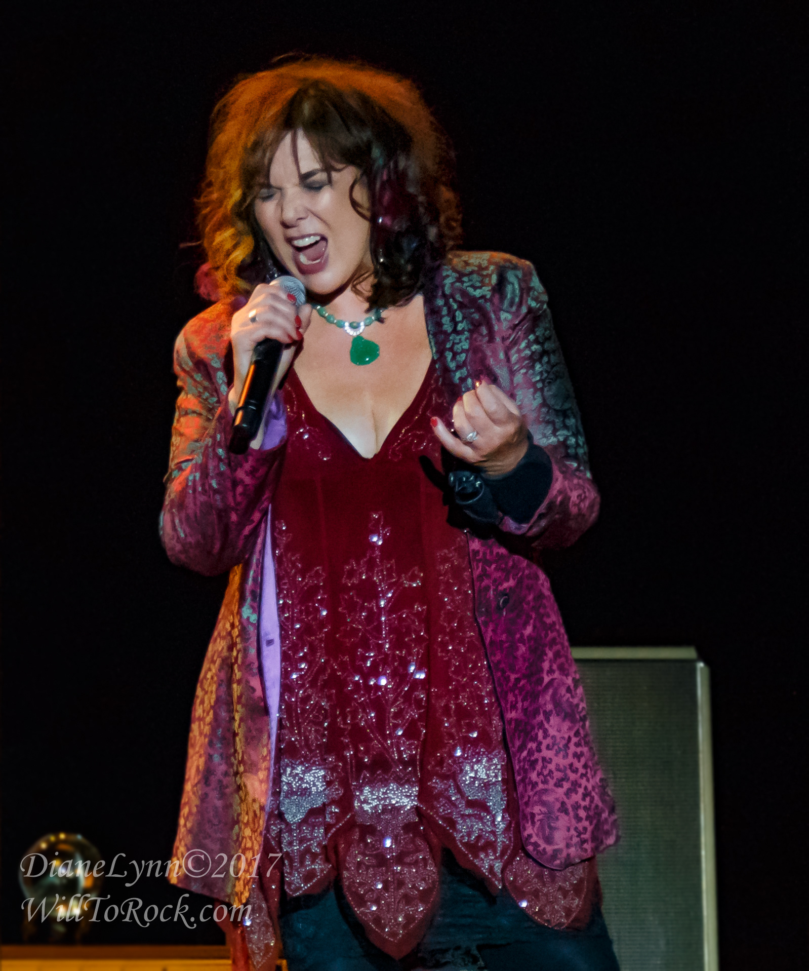 Ann Wilson