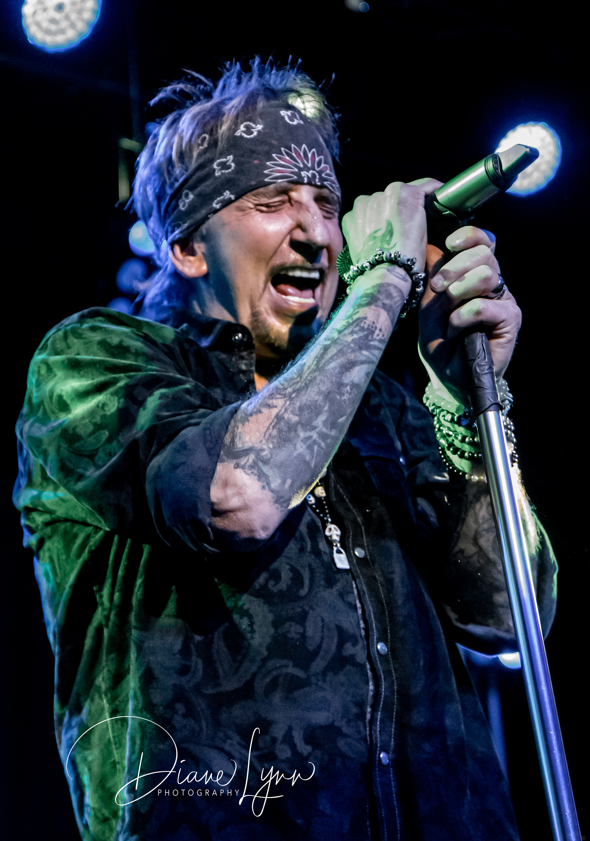 Jack Russell - Great White