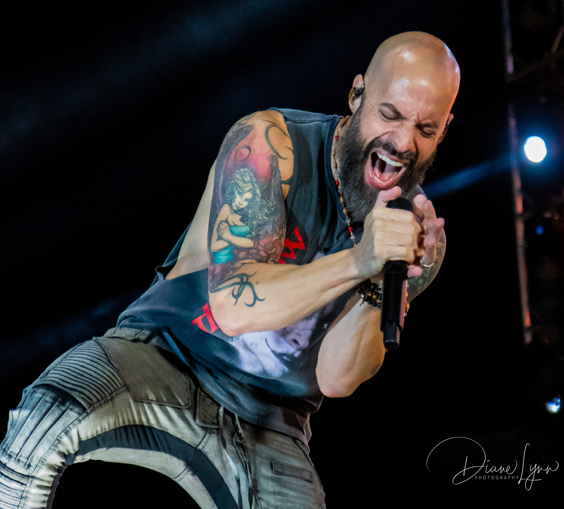 Daughtry