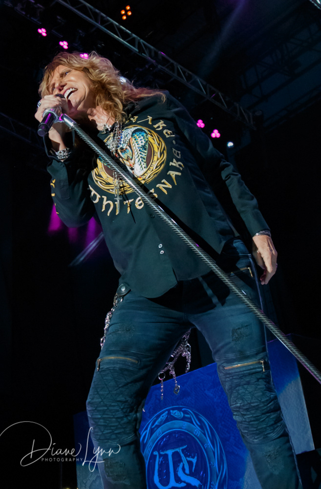 Whitesnake