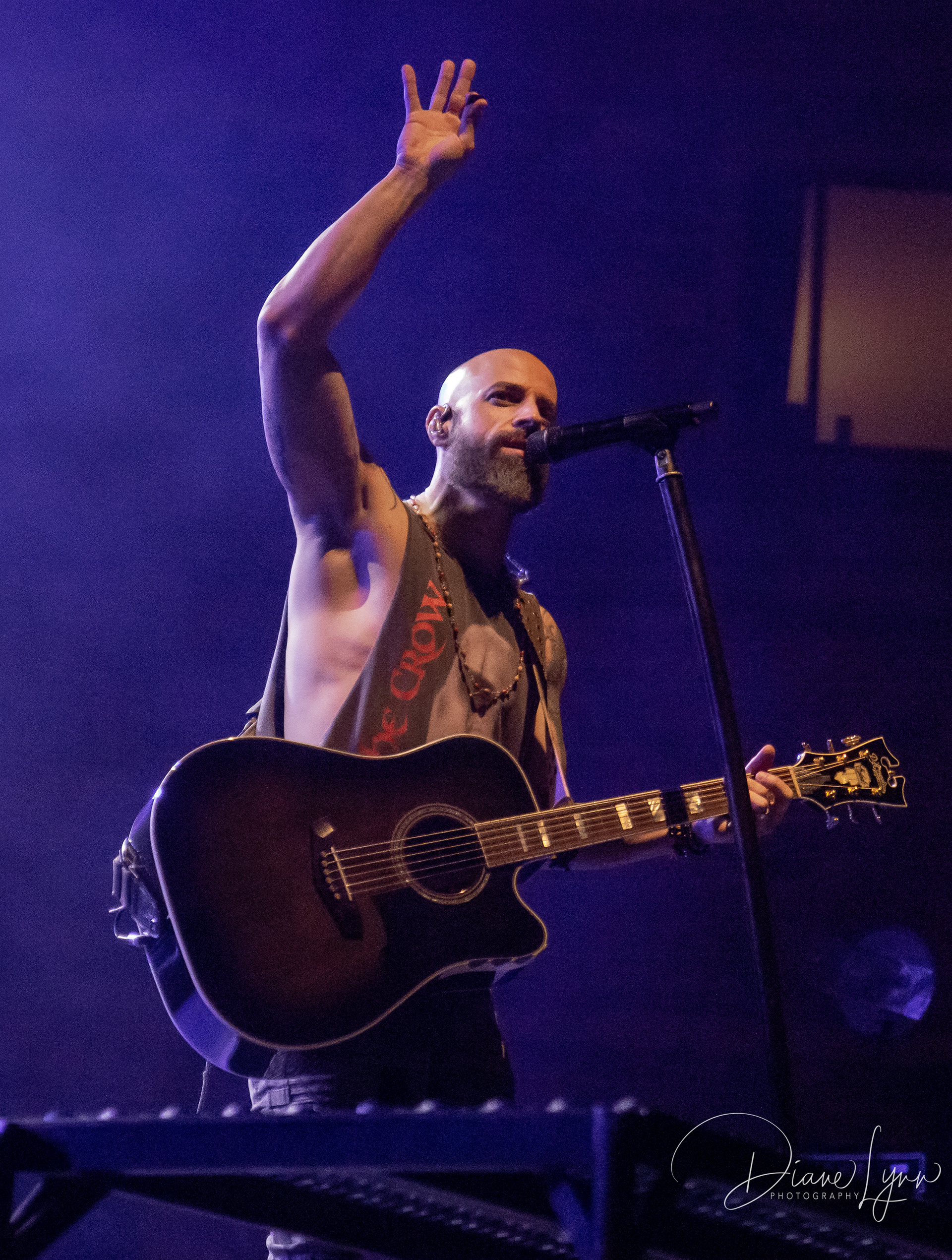 Daughtry