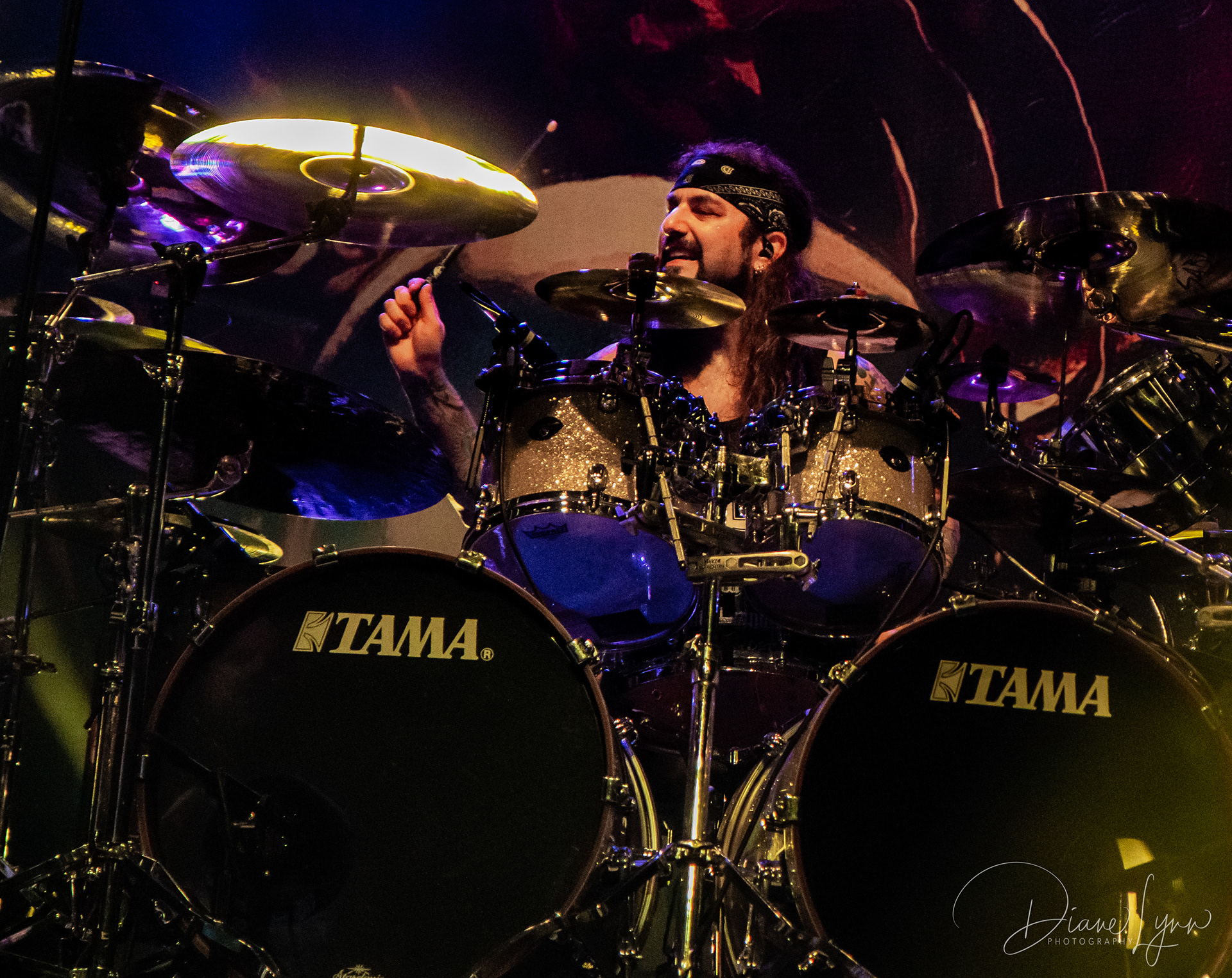 Metal Allegiance