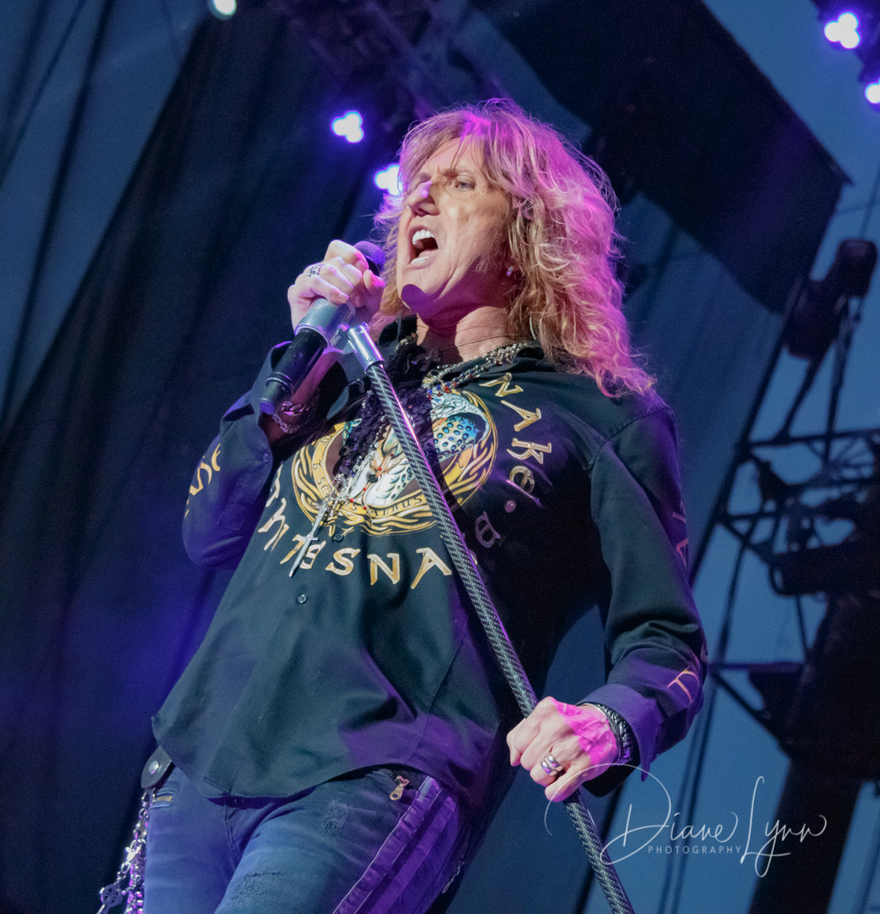 Whitesnake