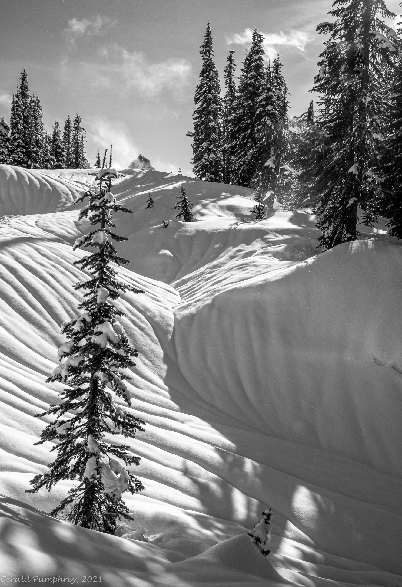 Rivulets and Shadows