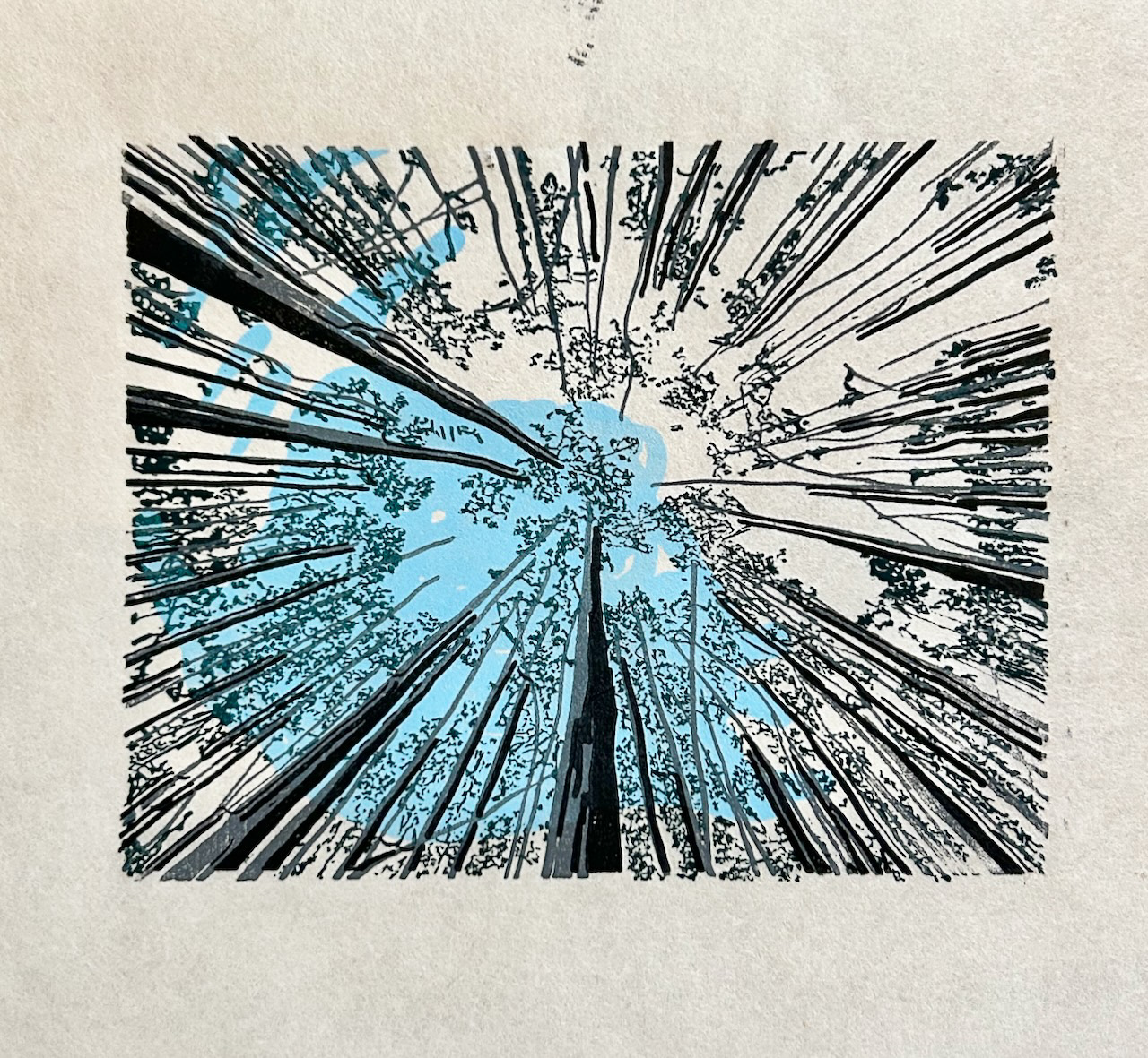 through the trees - 2025