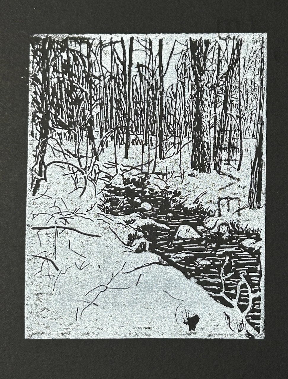 winter creek - 2025
