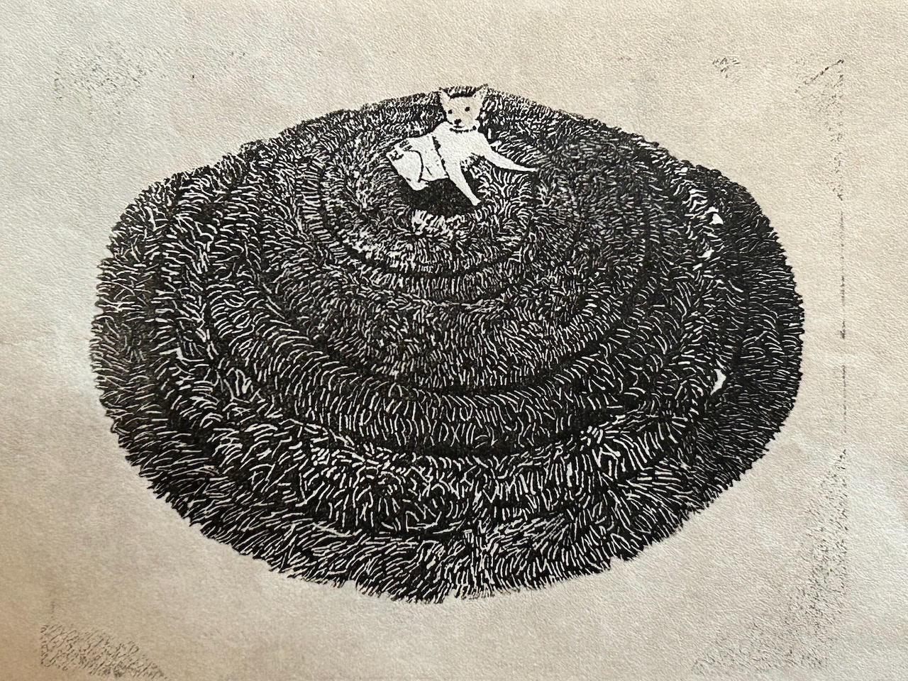 luna on her bed - 2025