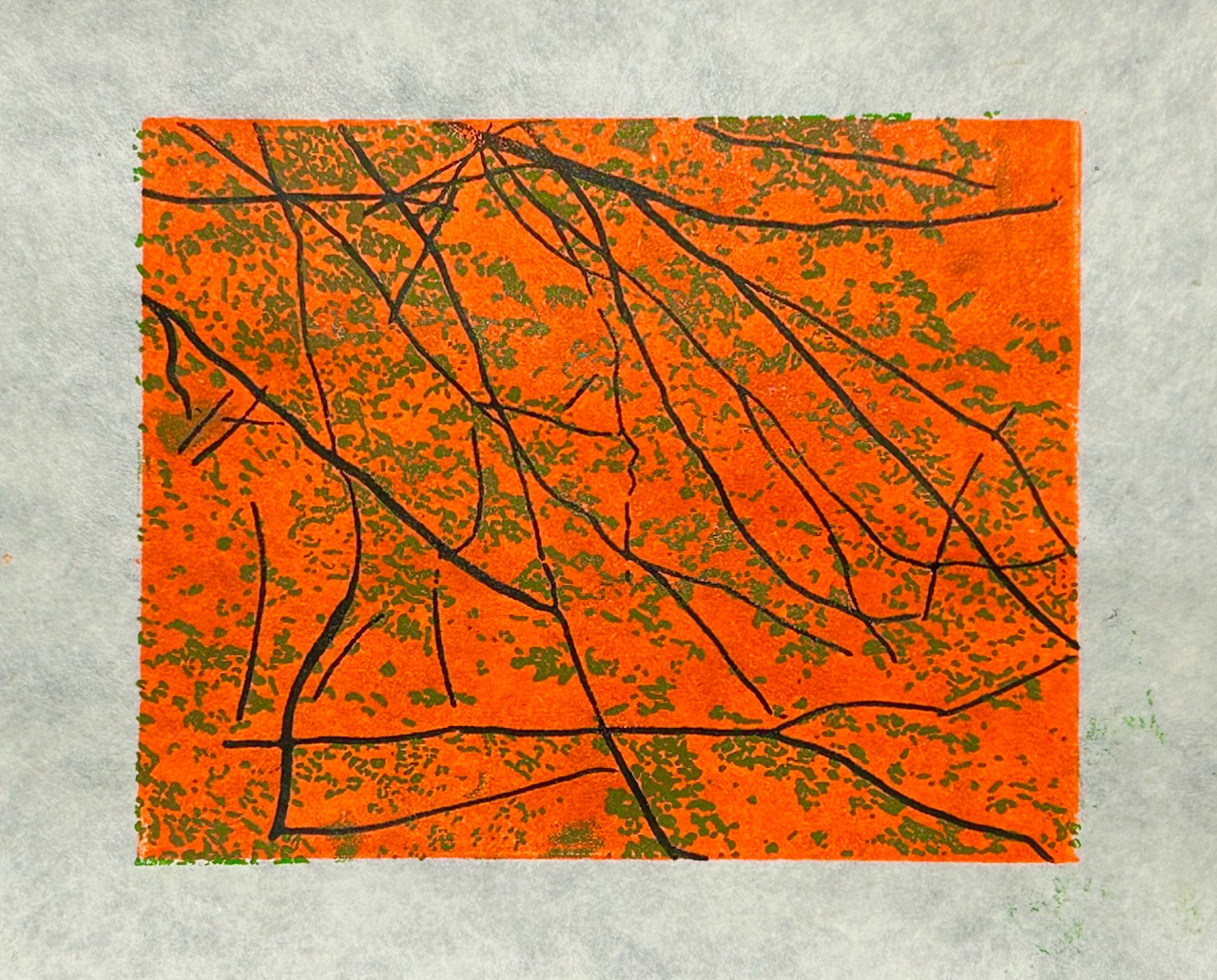 Leaves on trees - 2025