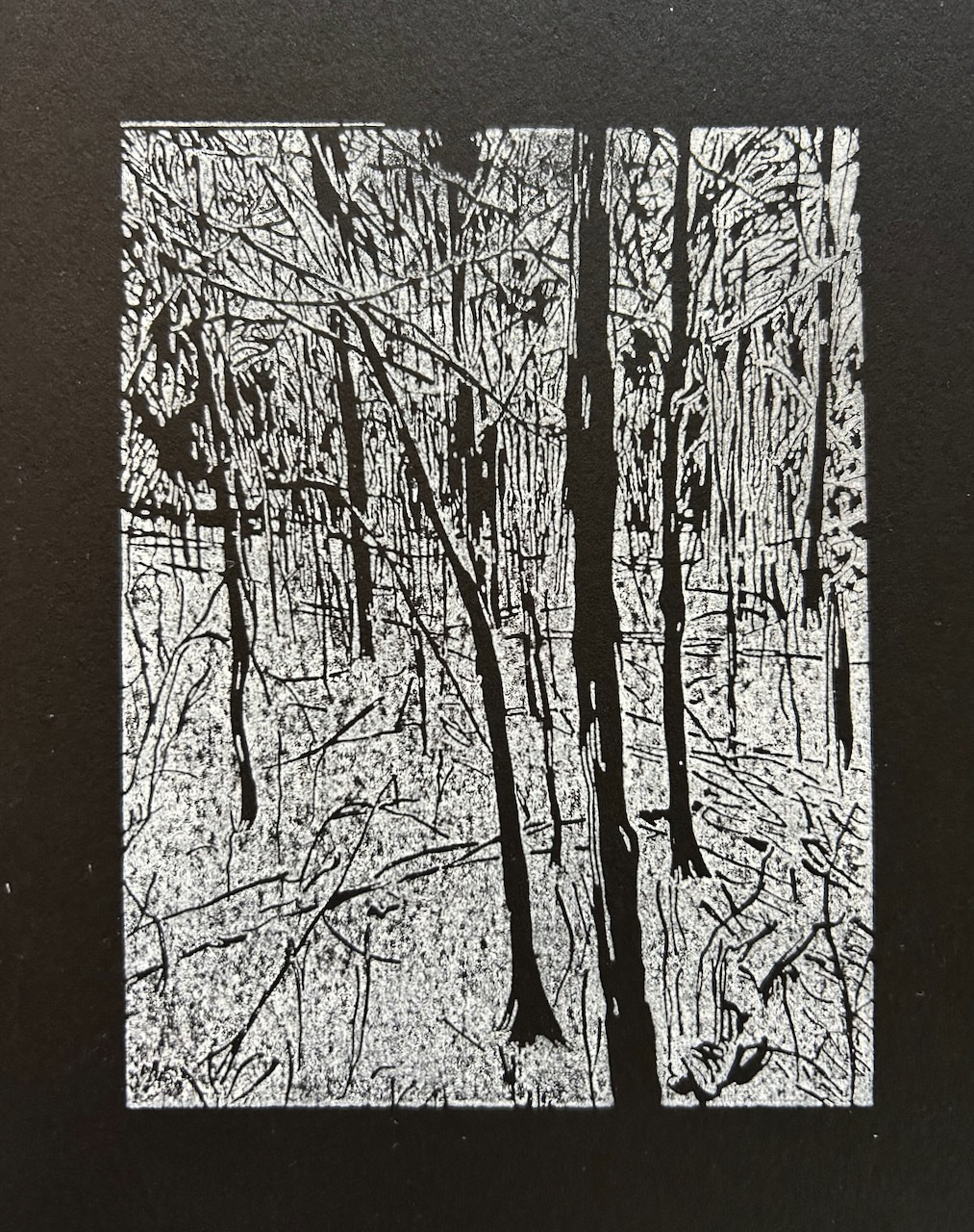winter woods - 2025