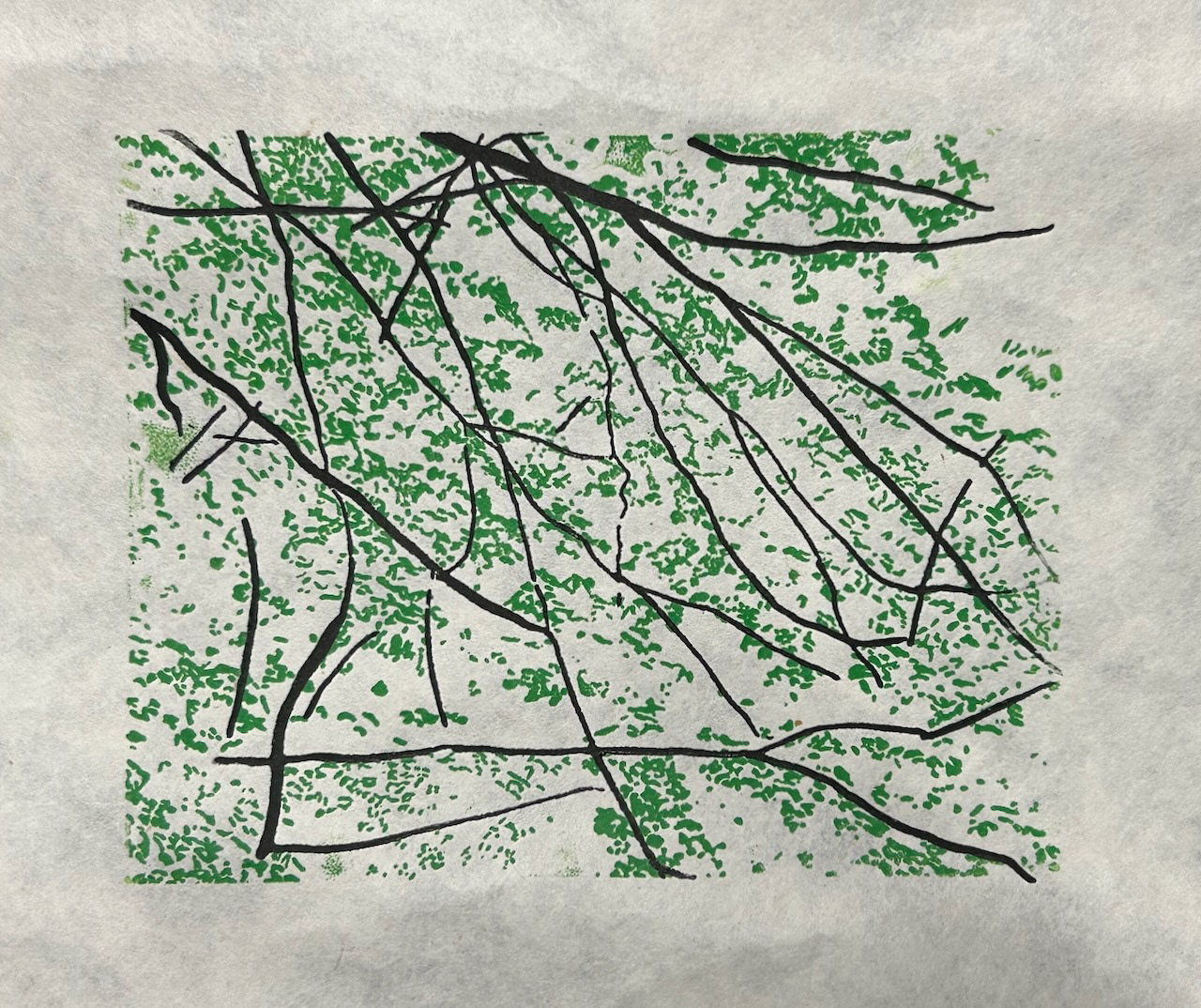Leaves on trees - 2025