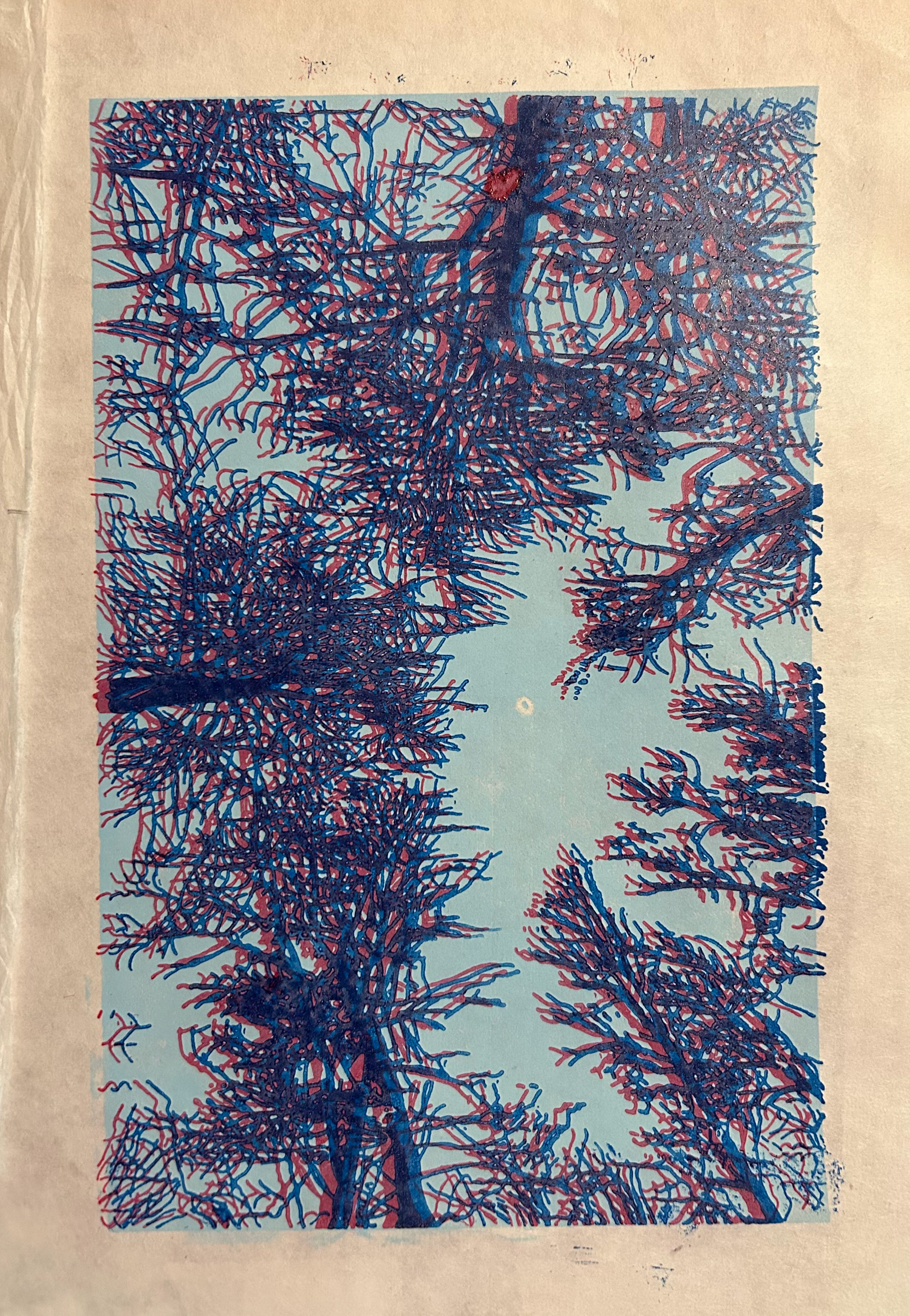 Up through the trees - 2025