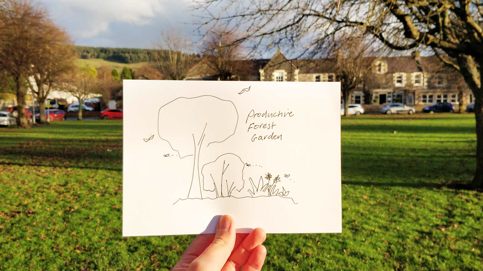 A productive forest garden on the Tweed Green