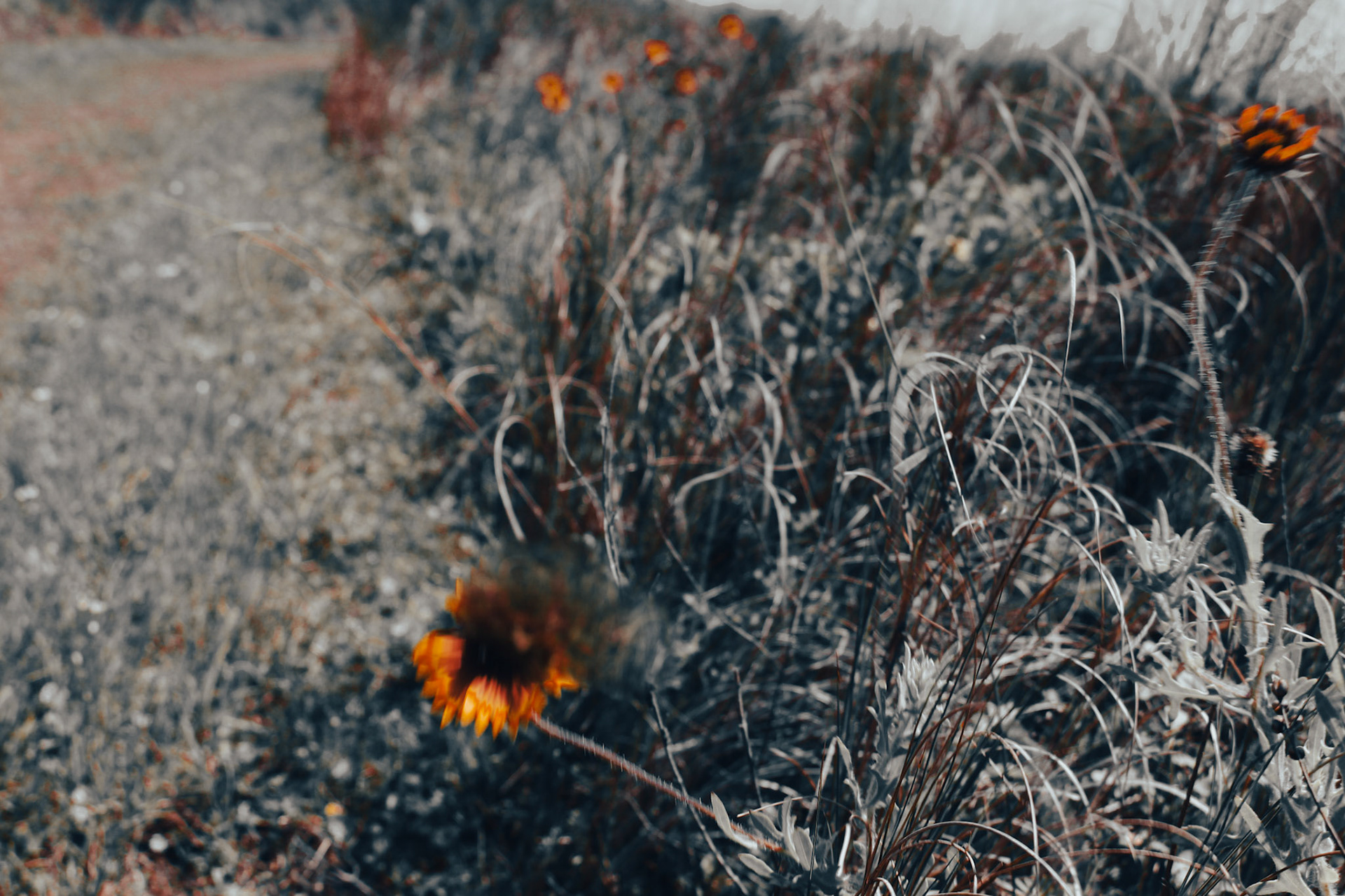 Jan Christian Photo Gallery