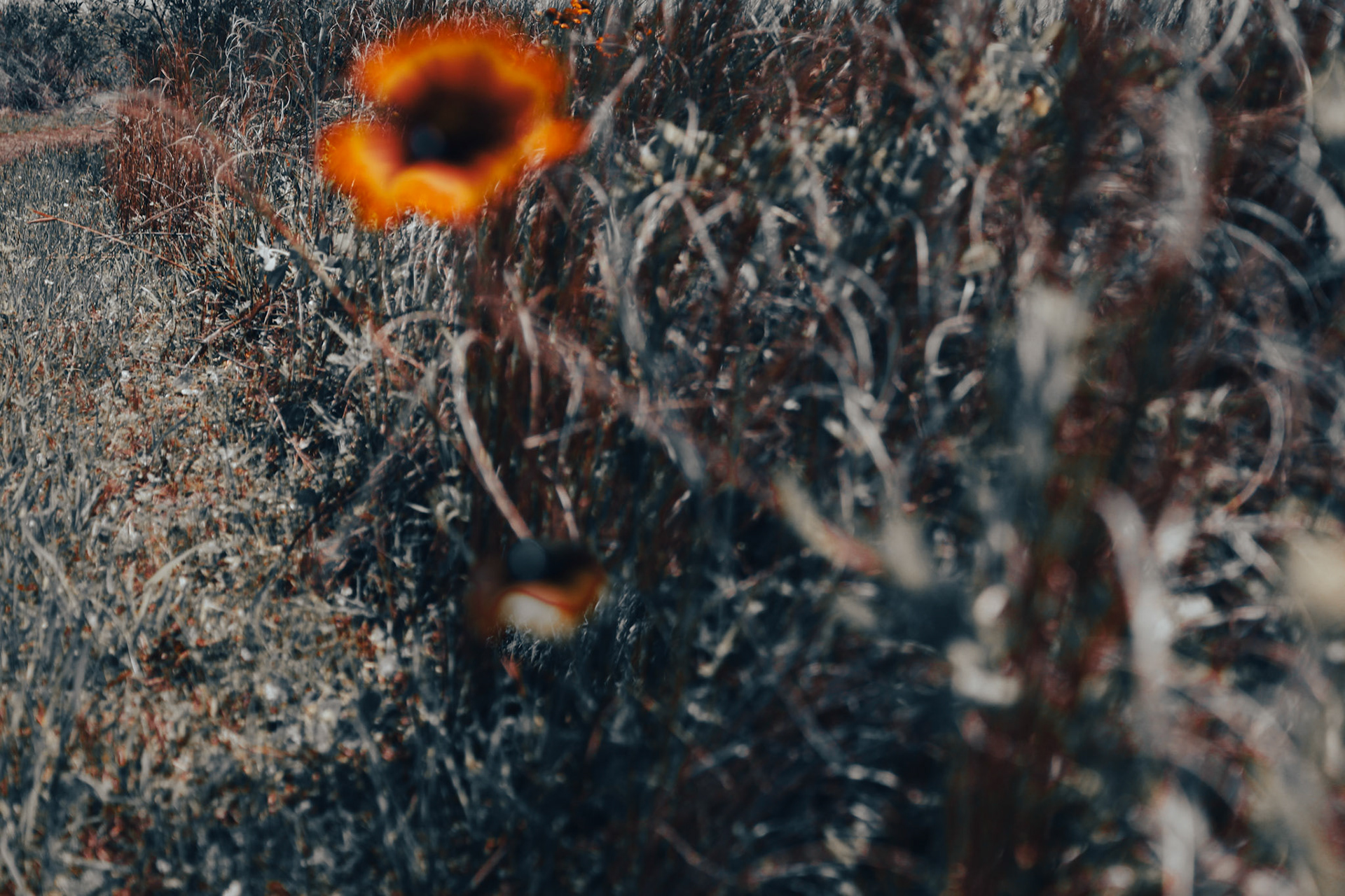 Jan Christian Photo Gallery