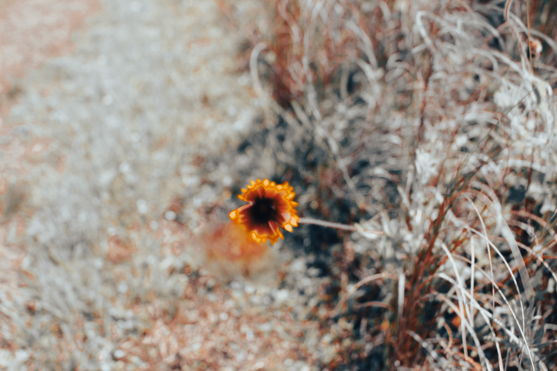 Jan Christian Photo Gallery