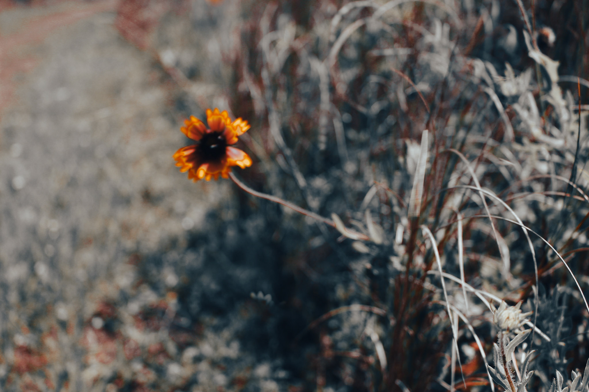 Jan Christian Photo Gallery