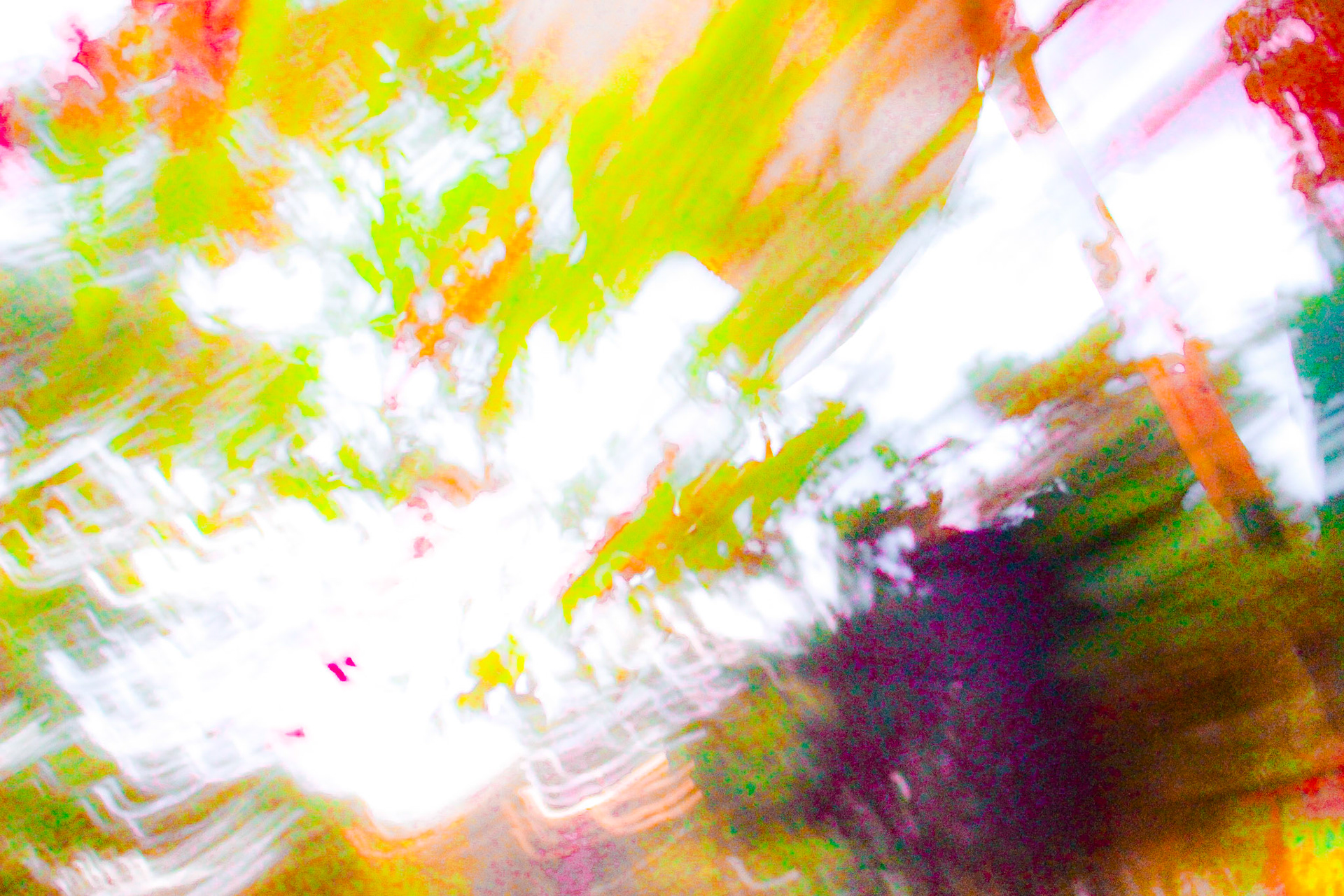 Jan Christian Photo Gallery