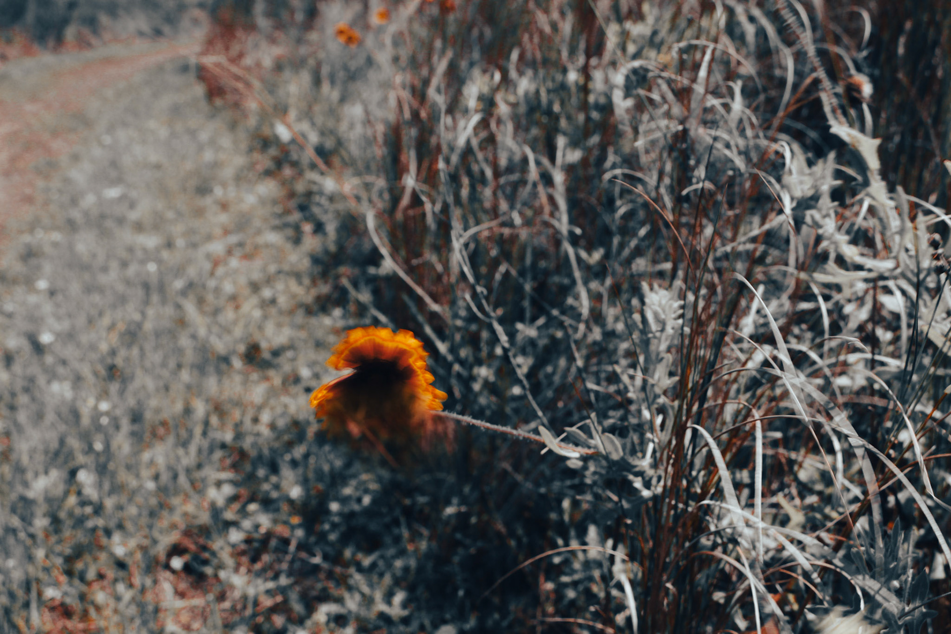 Jan Christian Photo Gallery