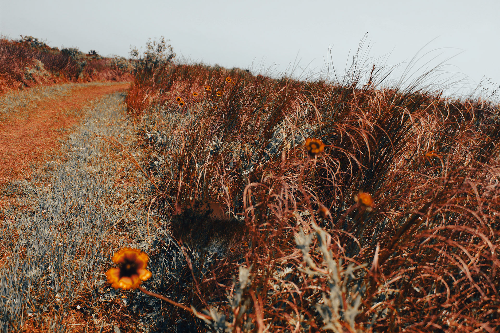 Jan Christian Photo Gallery