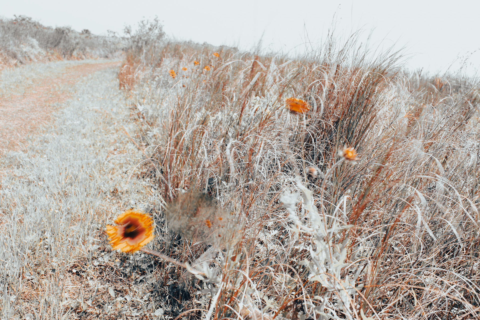 Jan Christian Photo Gallery