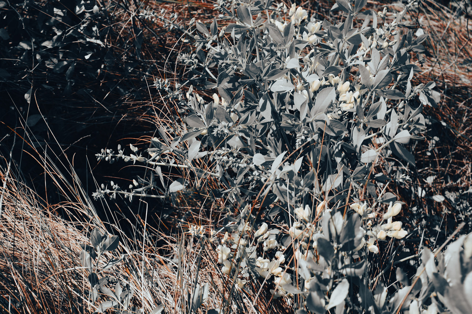 Jan Christian Photo Gallery