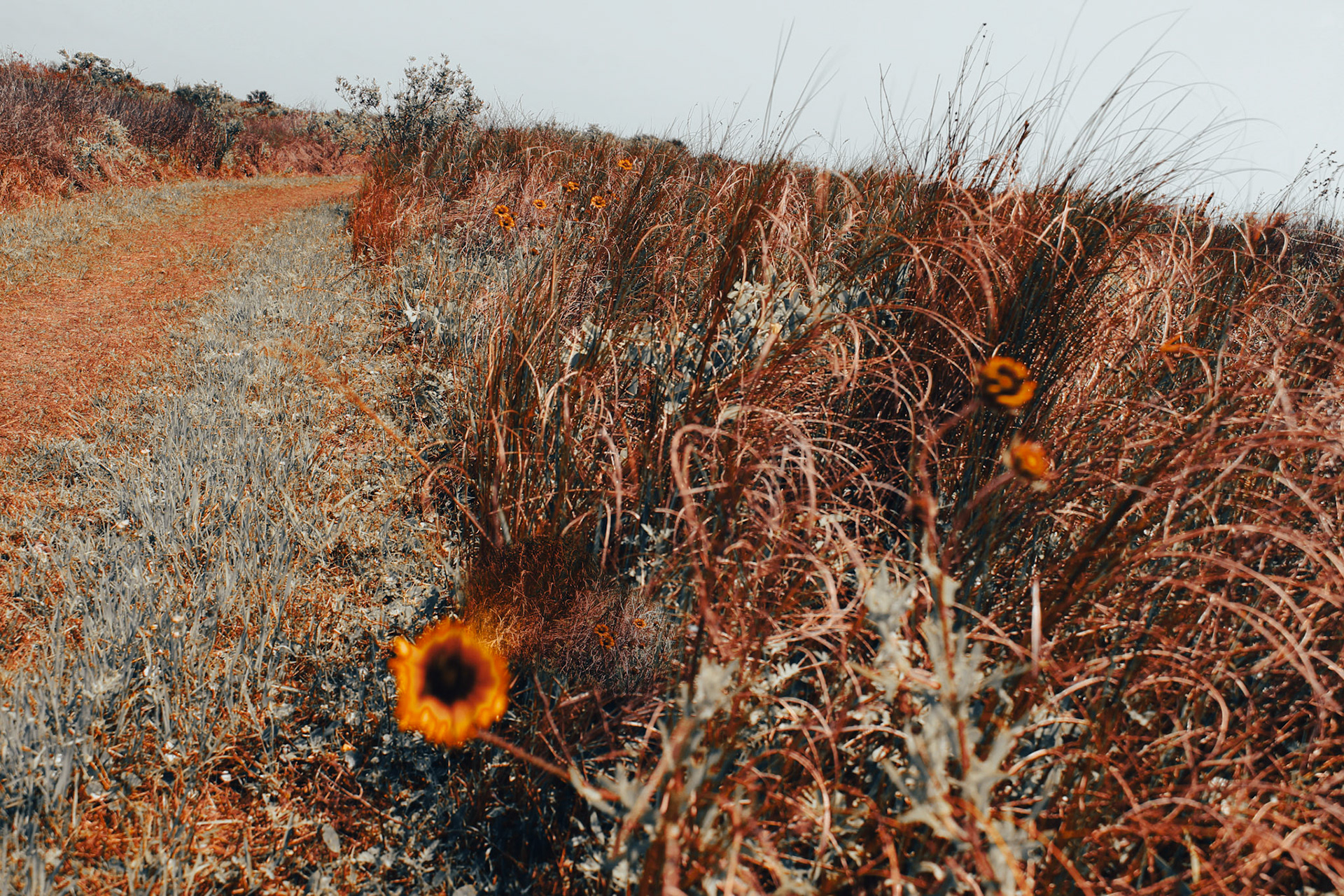 Jan Christian Photo Gallery