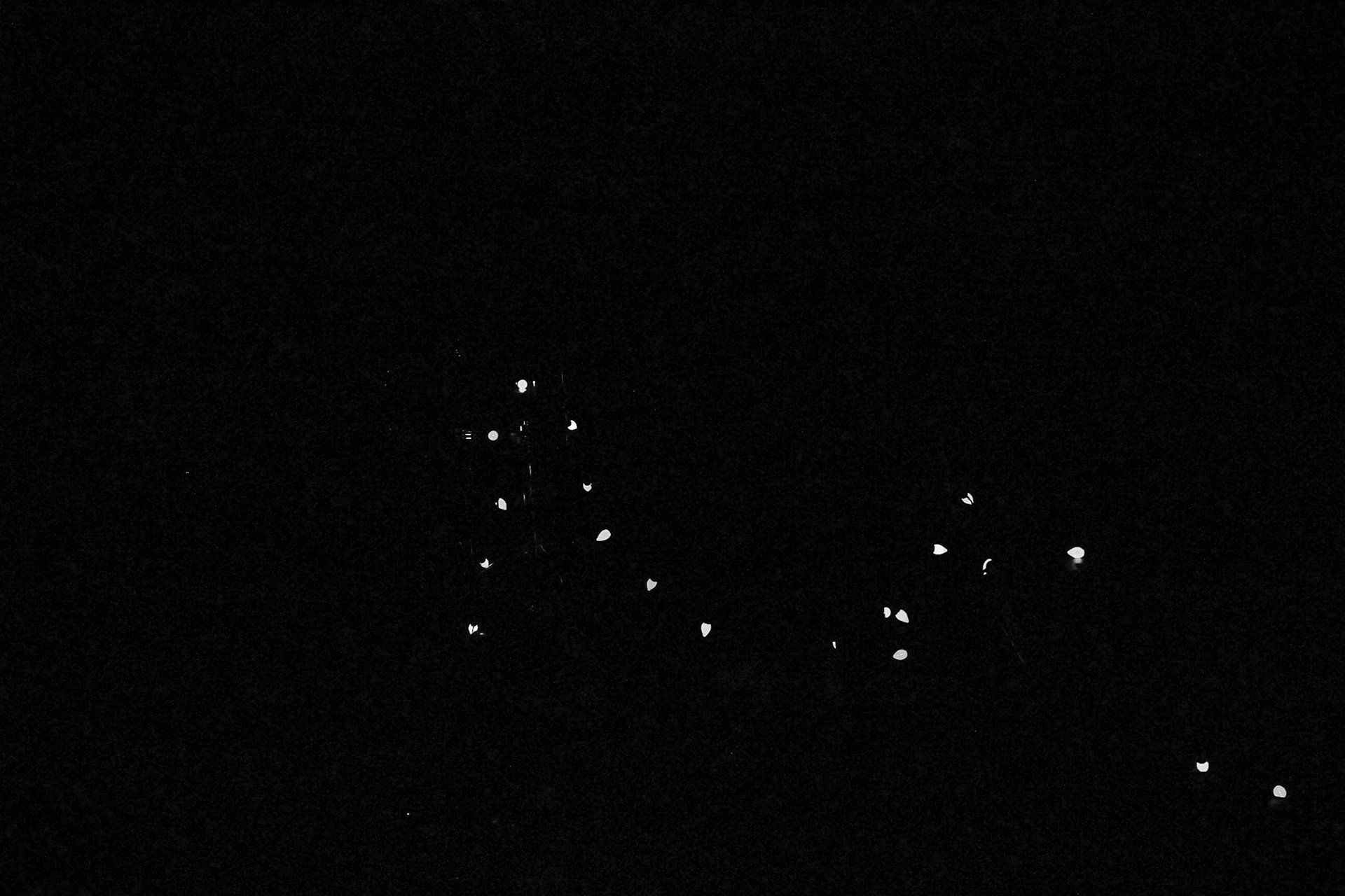 Jan Christian Photo Gallery