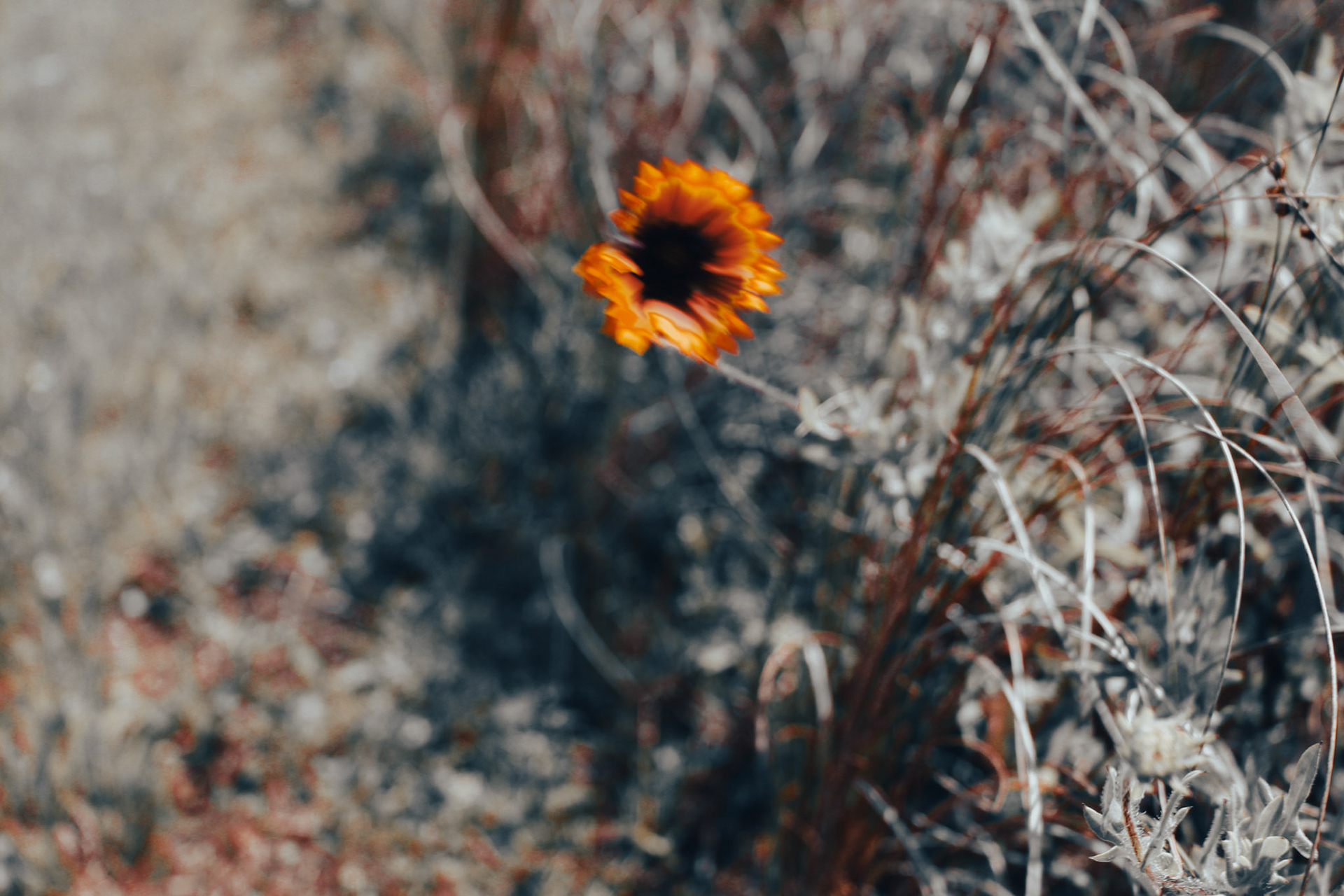 Jan Christian Photo Gallery