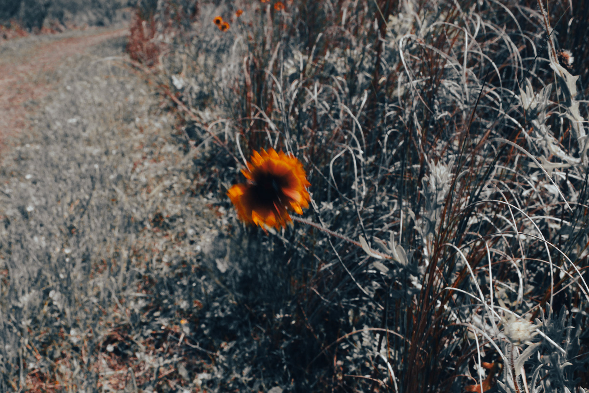 Jan Christian Photo Gallery