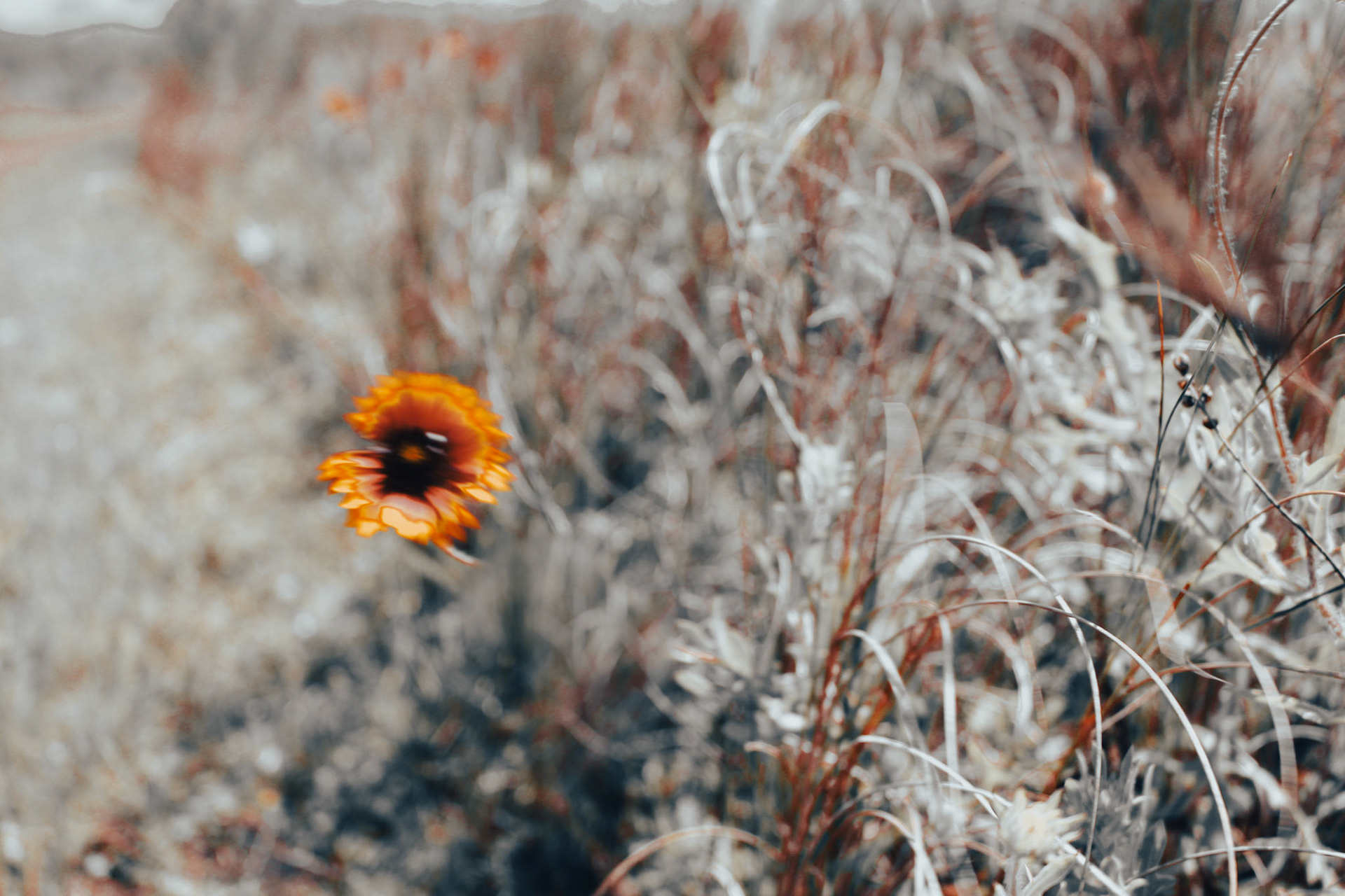 Jan Christian Photo Gallery