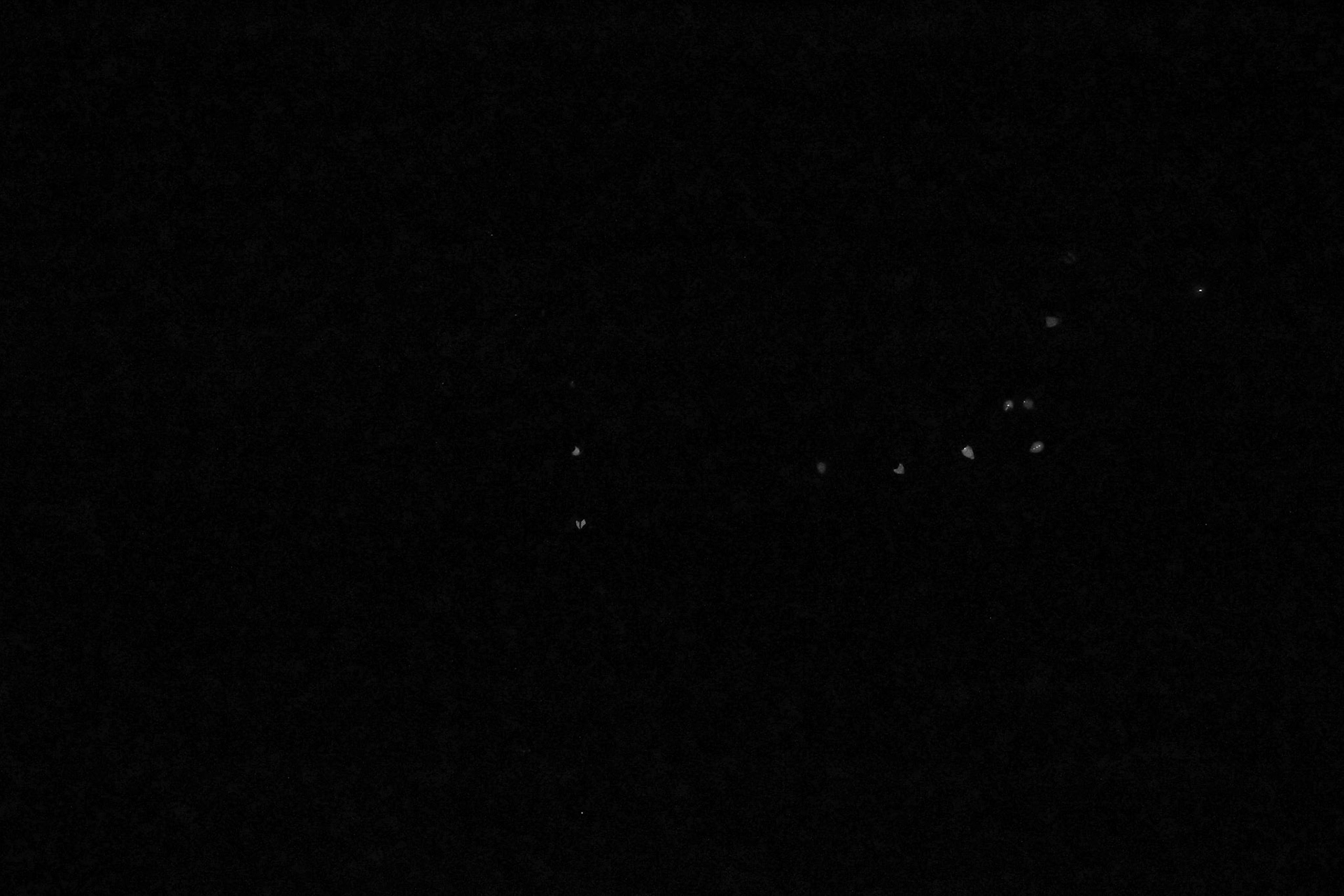 Jan Christian Photo Gallery