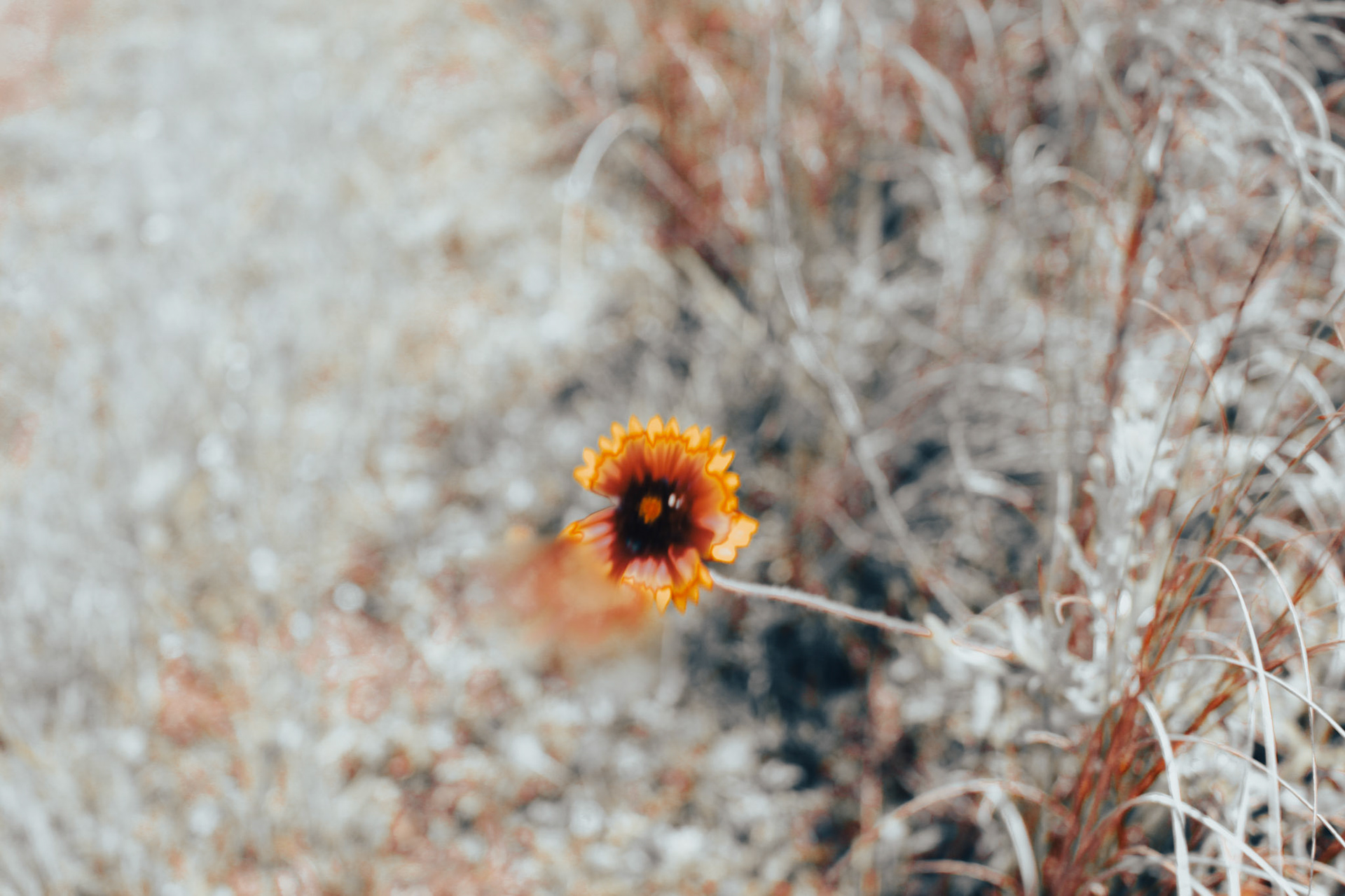 Jan Christian Photo Gallery