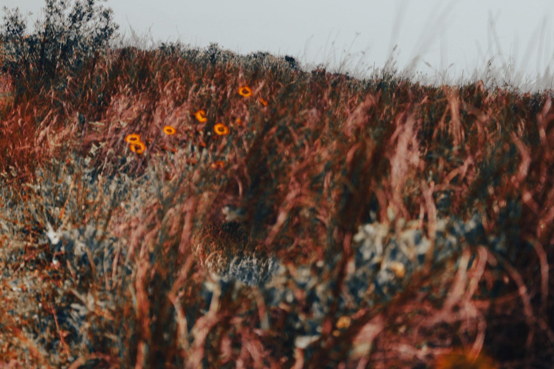 Jan Christian Photo Gallery