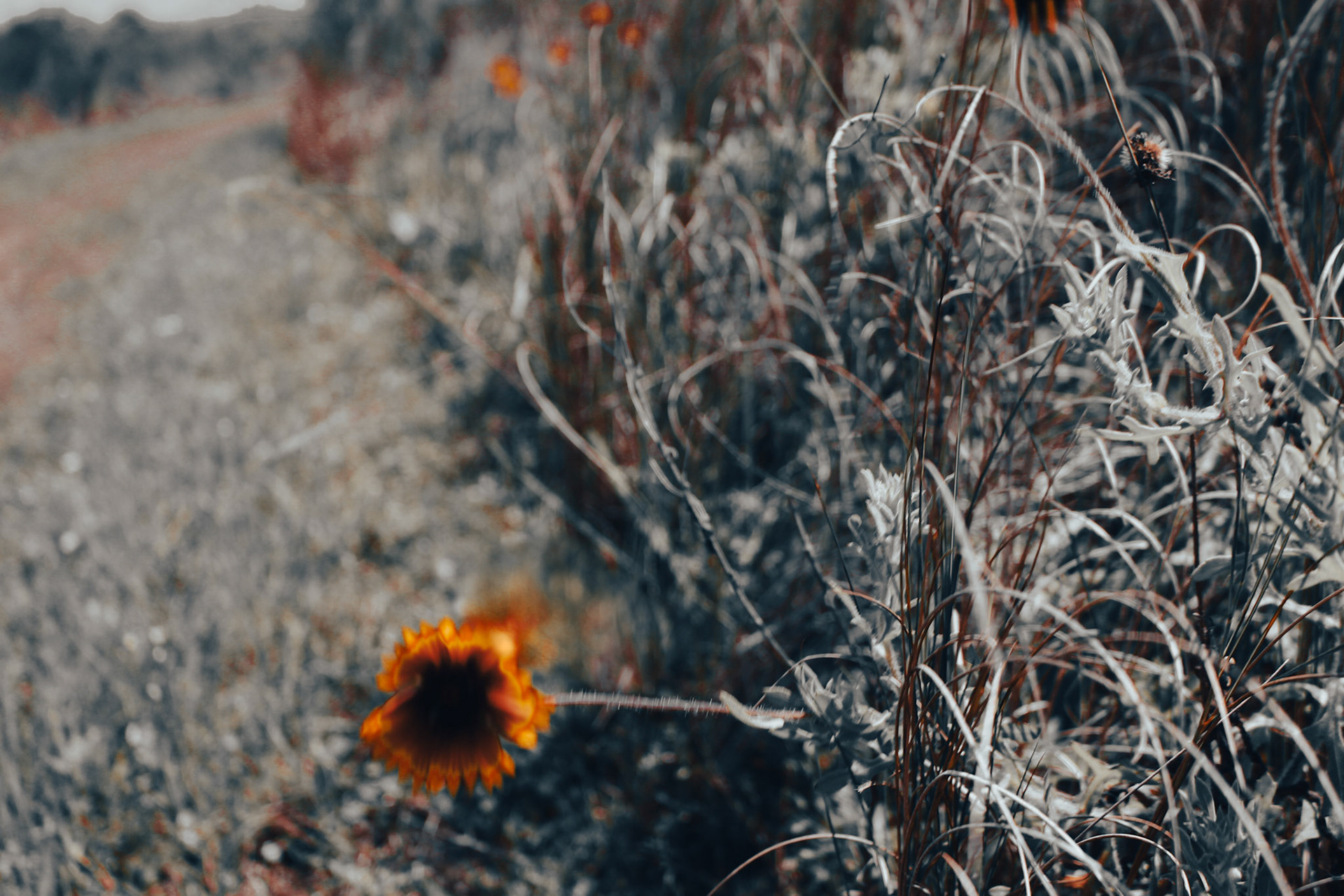 Jan Christian Photo Gallery