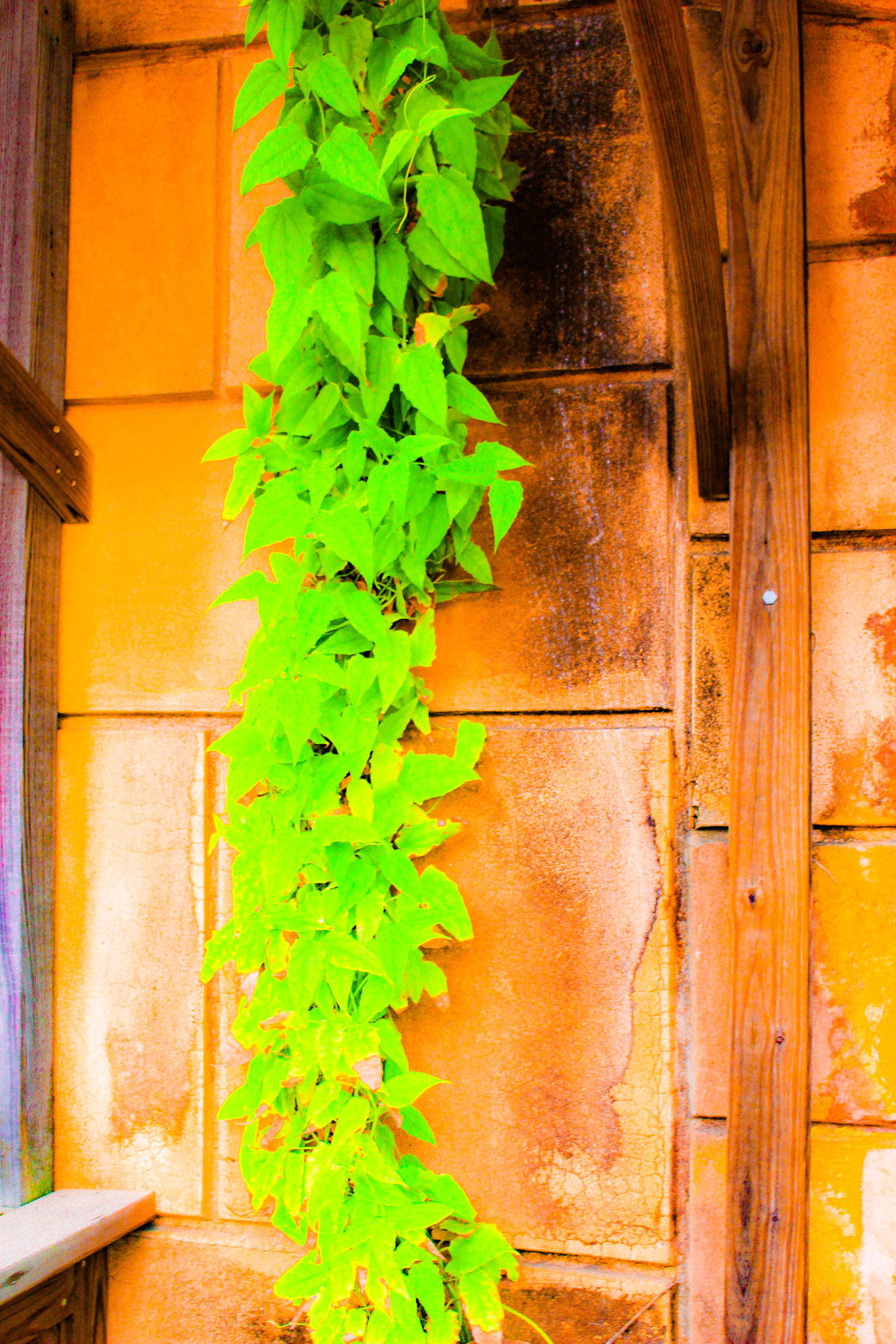 Jan Christian Photo Gallery