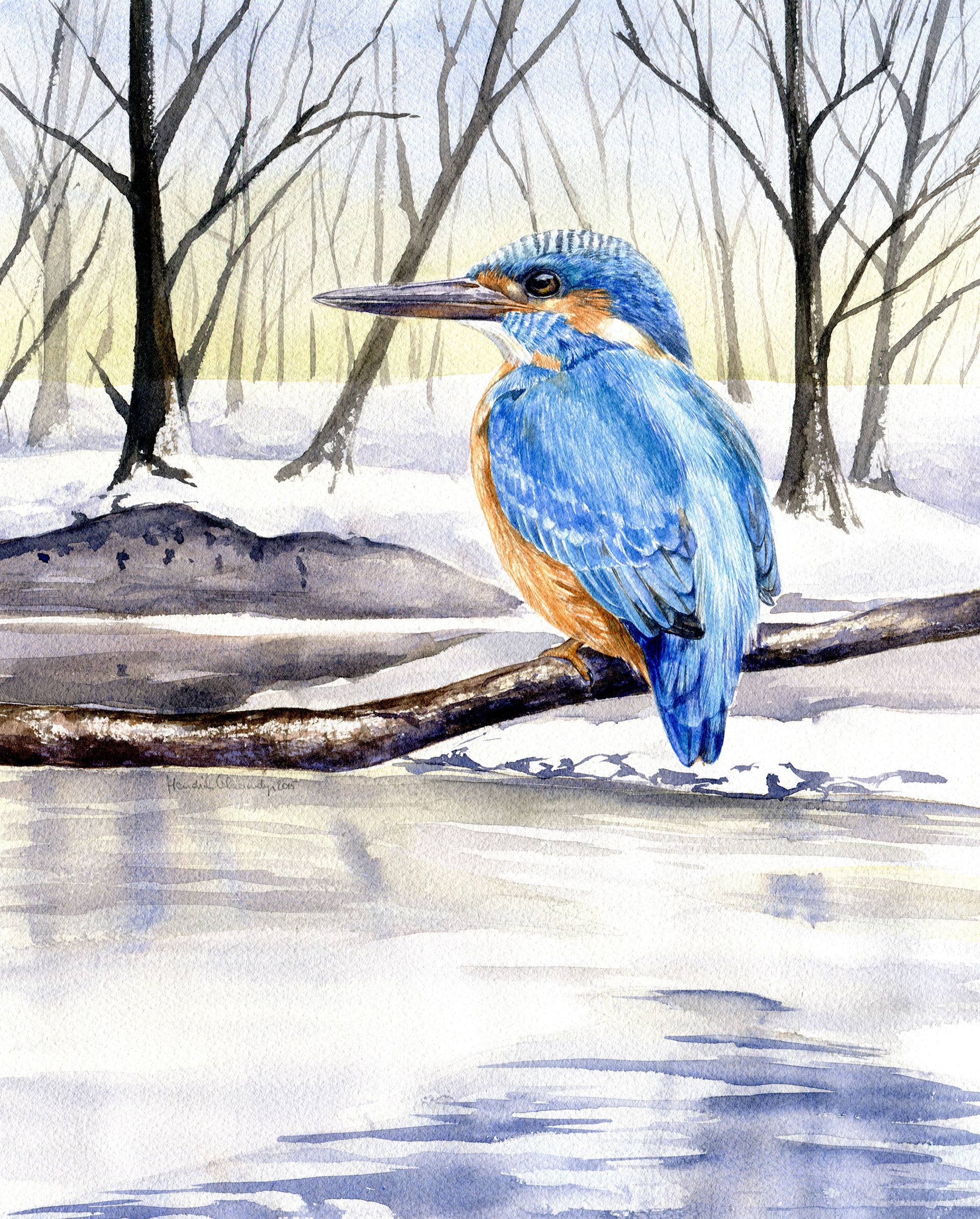 Common kingfisher - watercolour on paper